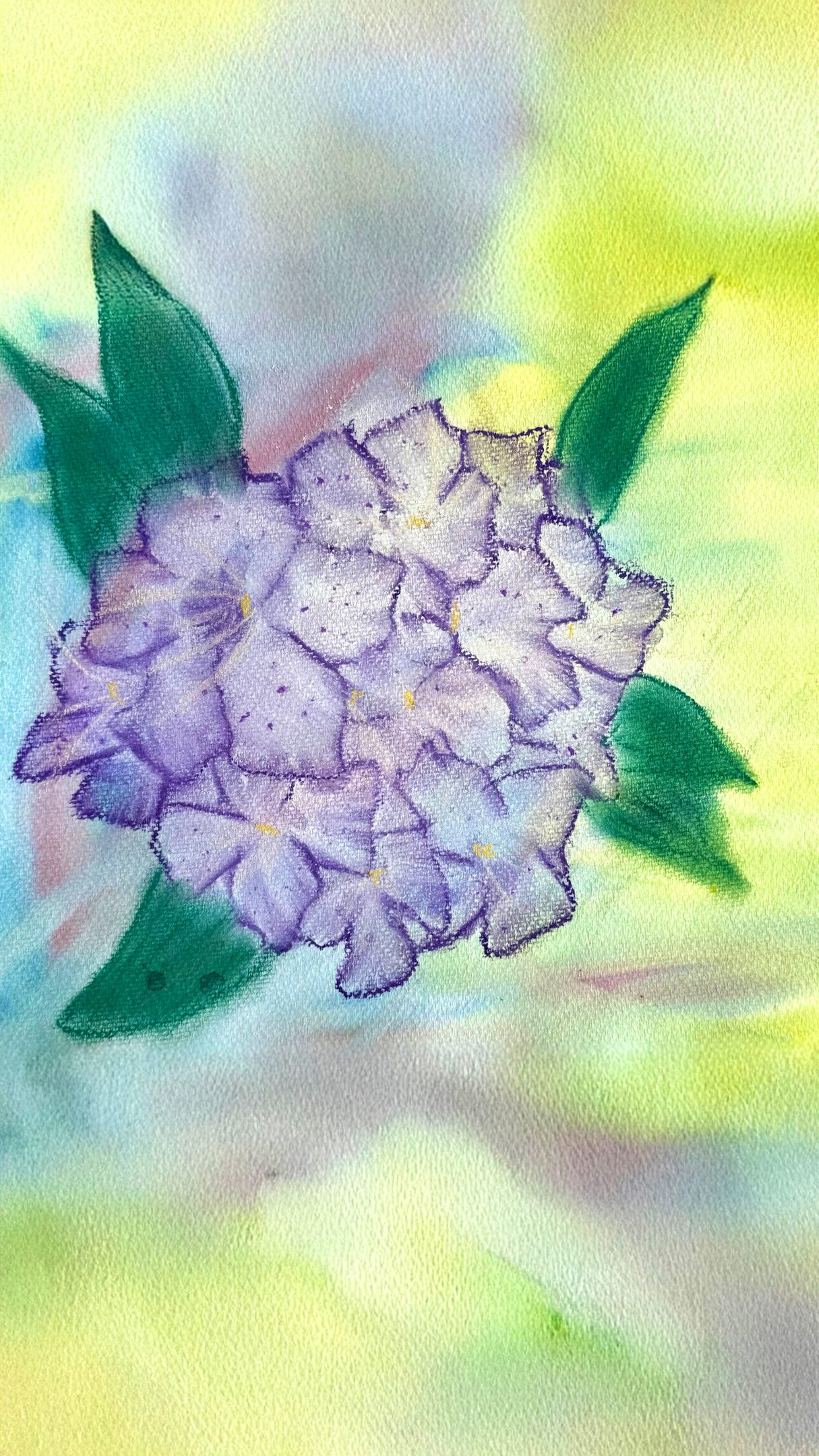 🌺🎨 Our 6th grade artists captured the beauty of blooming rhododendrons through vibrant chalk pastel drawings on watercolor backgrounds.✨
#ECS #eastsidecommunityschool #waldorf #gradesix #flowerart