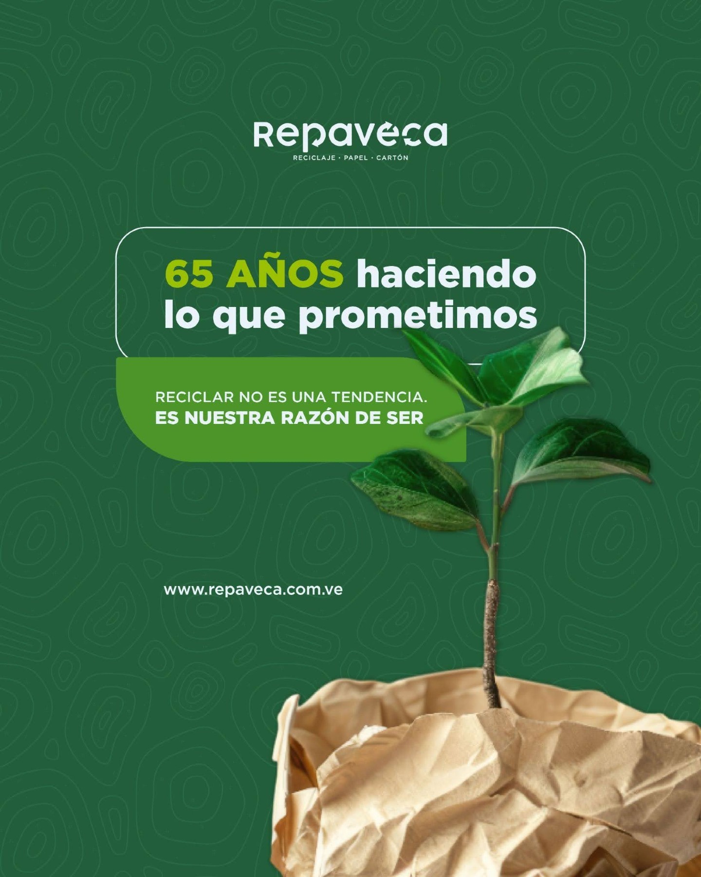 65 años haciendo lo que prometimos.
En Repaveca creemos que reciclar no es una tendencia, es un compromiso con el futuro y una responsabilidad que mantenemos desde hace más de seis décadas.
Seguimos trabajando para transformar residuos en nuevas oportunidades y construir juntos una Venezuela más consciente y sostenible.
📍 Zona Industrial Palo Verde, calle 2 de La Industria
📲 Contáctanos: Master: 0212-2516010 | WhatsApp: 0414-1211479
🌐 www.repaveca.com.ve/contacto
#Repaveca #Reciclaje #Venezuela #PlantaRecicladora #Ecoamigable #ReciclajeVenezuela #tipsdereciclaje #ReciclajeEnCasa