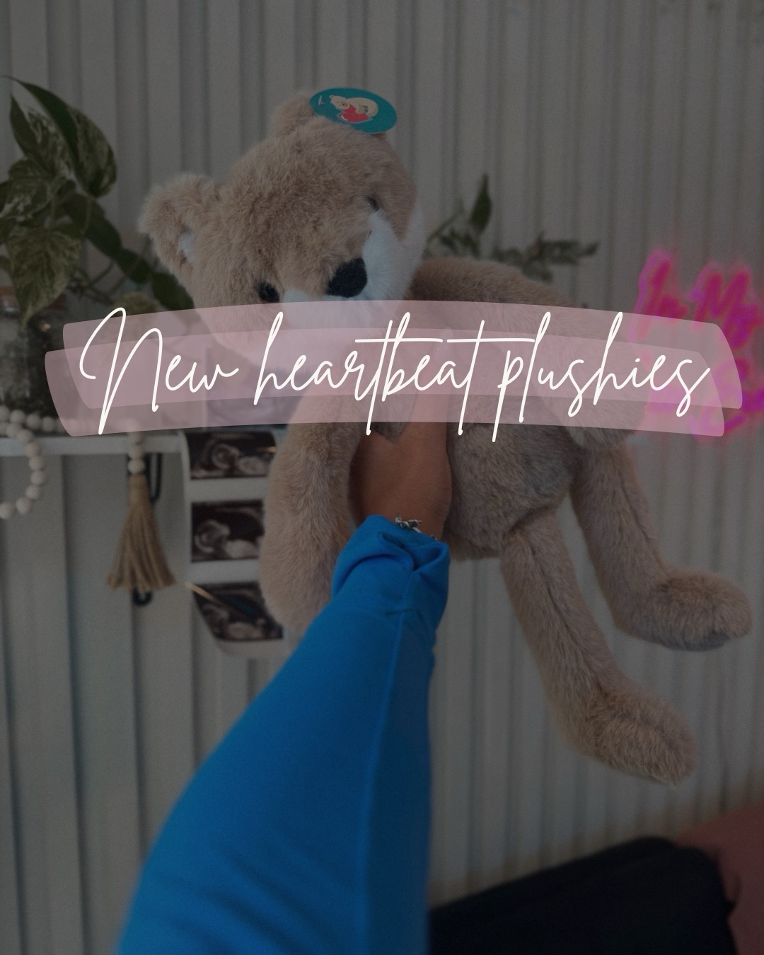 The gang just got a little bigger. 🧸🤍
We have 5 new heartbeat plushies joining the collection and they’re officially in stock!
Record your baby’s heartbeat during your ultrasound session and take home a keepsake you’ll have forever. Whether it’s for the nursery, a gift for grandparents, or just a way to keep that special sound close, these are always a favorite.
Swipe through to see the newest additions! ✨
P.S. there’s still about 15-20 other cuties to choose from as well! 🥰