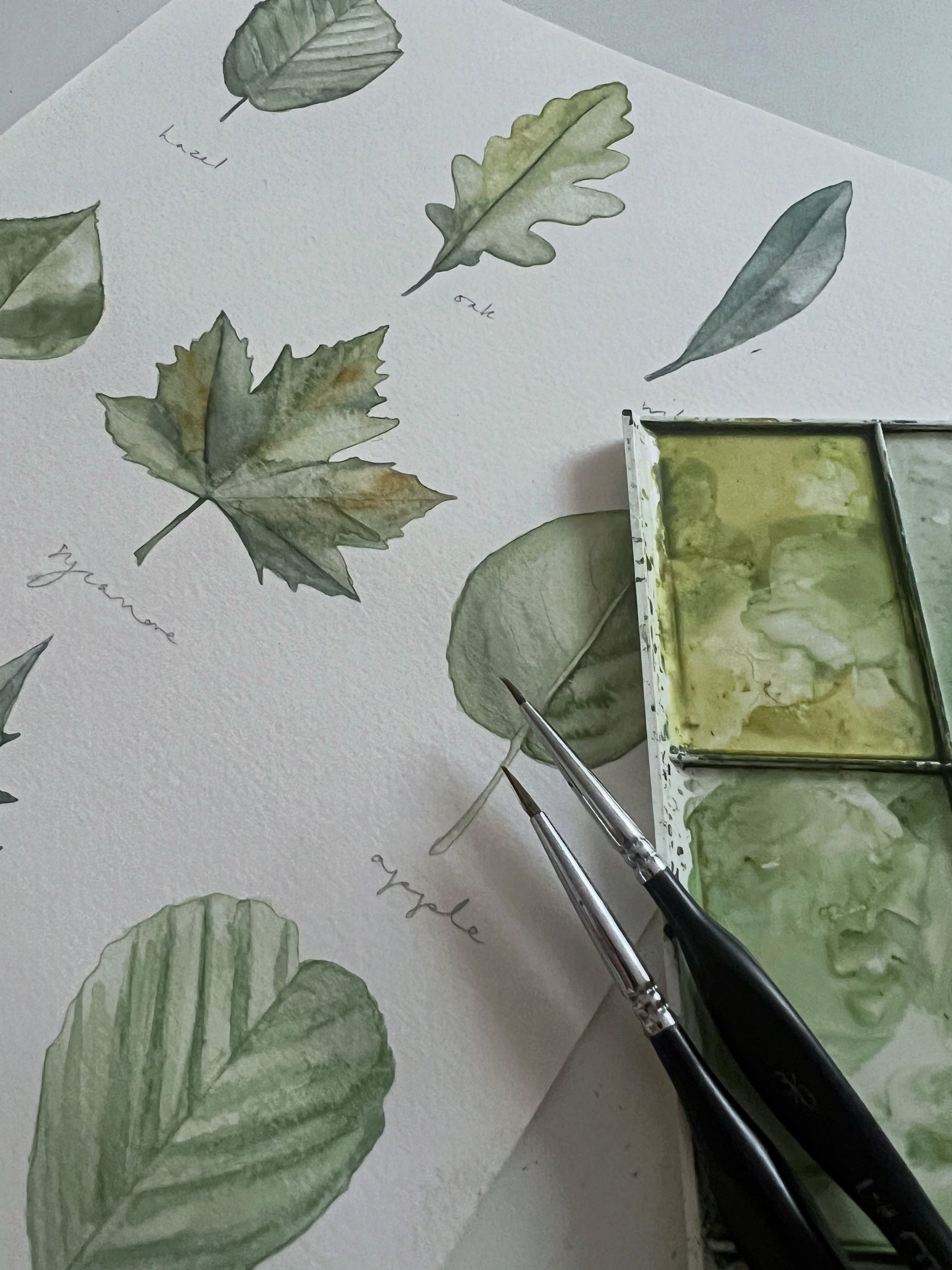 Green is still such a popular wedding colour.
Whether it’s olive, sage, forest, mint, mid, grass, emerald. It can be used throughout the year and in so many ways.
#greenwedding #weddingstationeryuk #weddingcolors