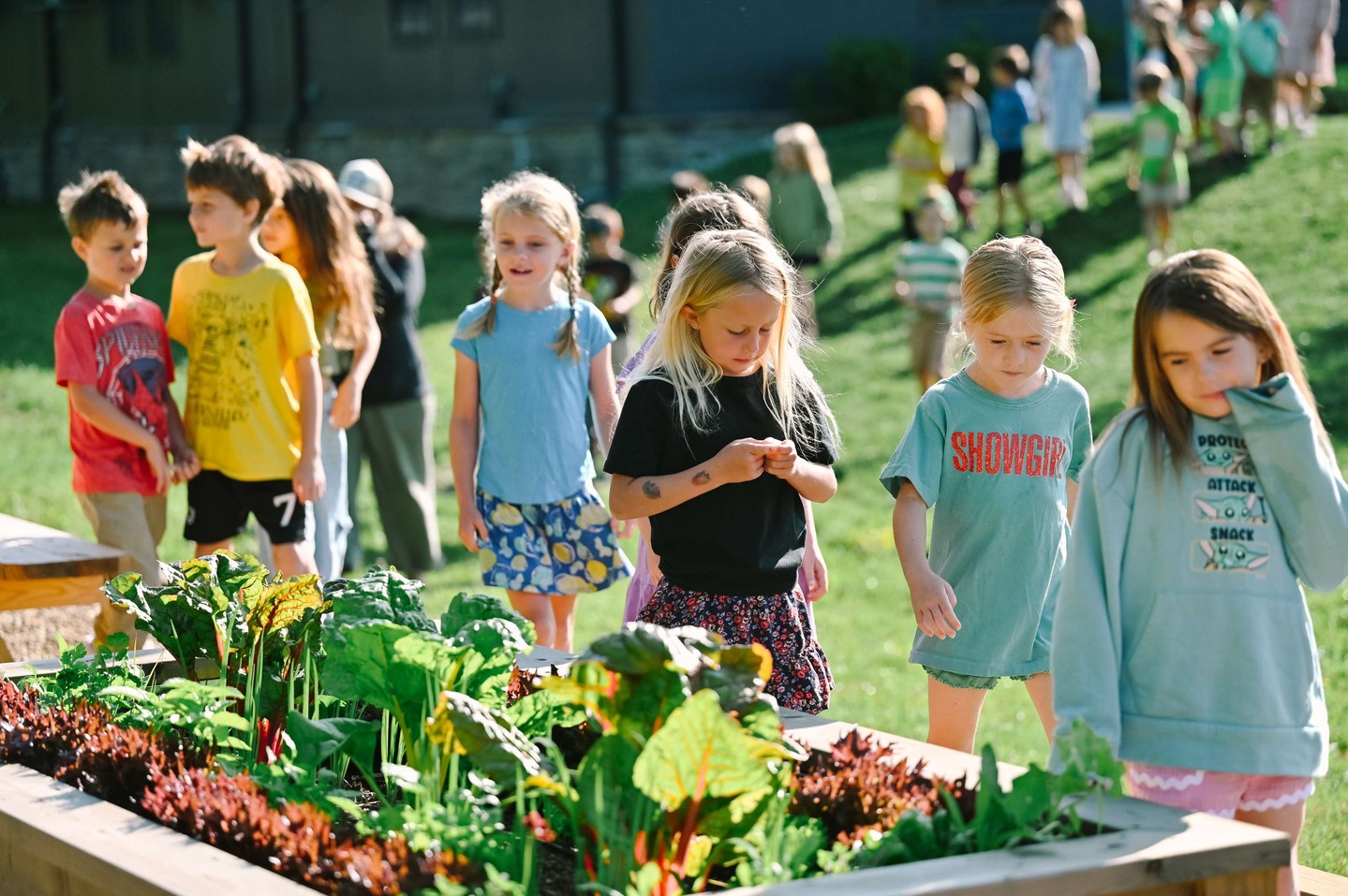 This is just a HUGE shout out of gratitude to @avlkitchengardens for donating hours and hours of their time and labor to creating our new and improved Creek Campus school garden!
Isn't it beautiful?! And functional. We are all SO in love.
We held a small "ribbon cutting" yesterday for a couple of our Creek Campus classes. There was a lot of wonder and awe. Thank you, thank you, THANK YOU!!
And be on the lookout for some cool family summer garden workshops held this summer by Asheville Kitchen Gardens at our very own school garden. More info coming soon!
#SchoolGarden #GardenEducation #OutdoorLearning #KidsInTheGarden #flccs #FernLeafCCS #K12 #wncschool