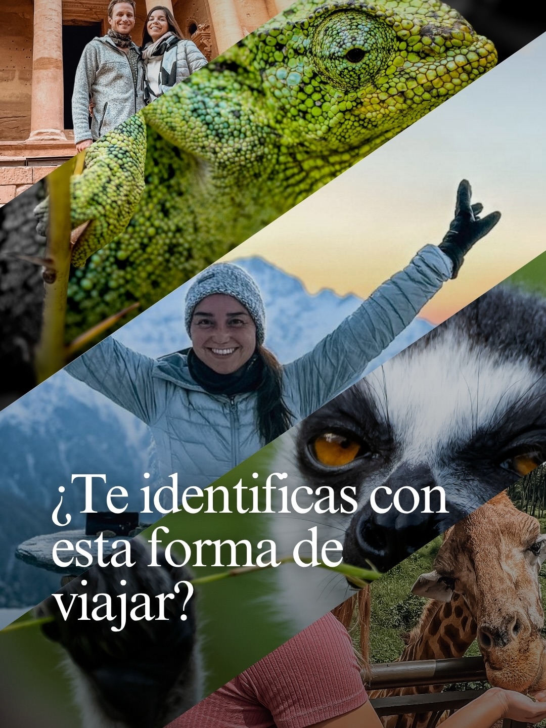 No todos viajamos por las mismas razones.
Algunas personas buscan descansar. Otras buscan conocer, explorar, aprender, conectar y volver con historias que valga la pena contar.
Si te identificaste con este carrusel, probablemente compartimos la misma forma de entender los viajes: con curiosidad, respeto por la naturaleza y ganas de vivir experiencias auténticas.
¿Cuál de estos puntos representa mejor tu forma de viajar? Cuéntanos 👇🏻📸🌿