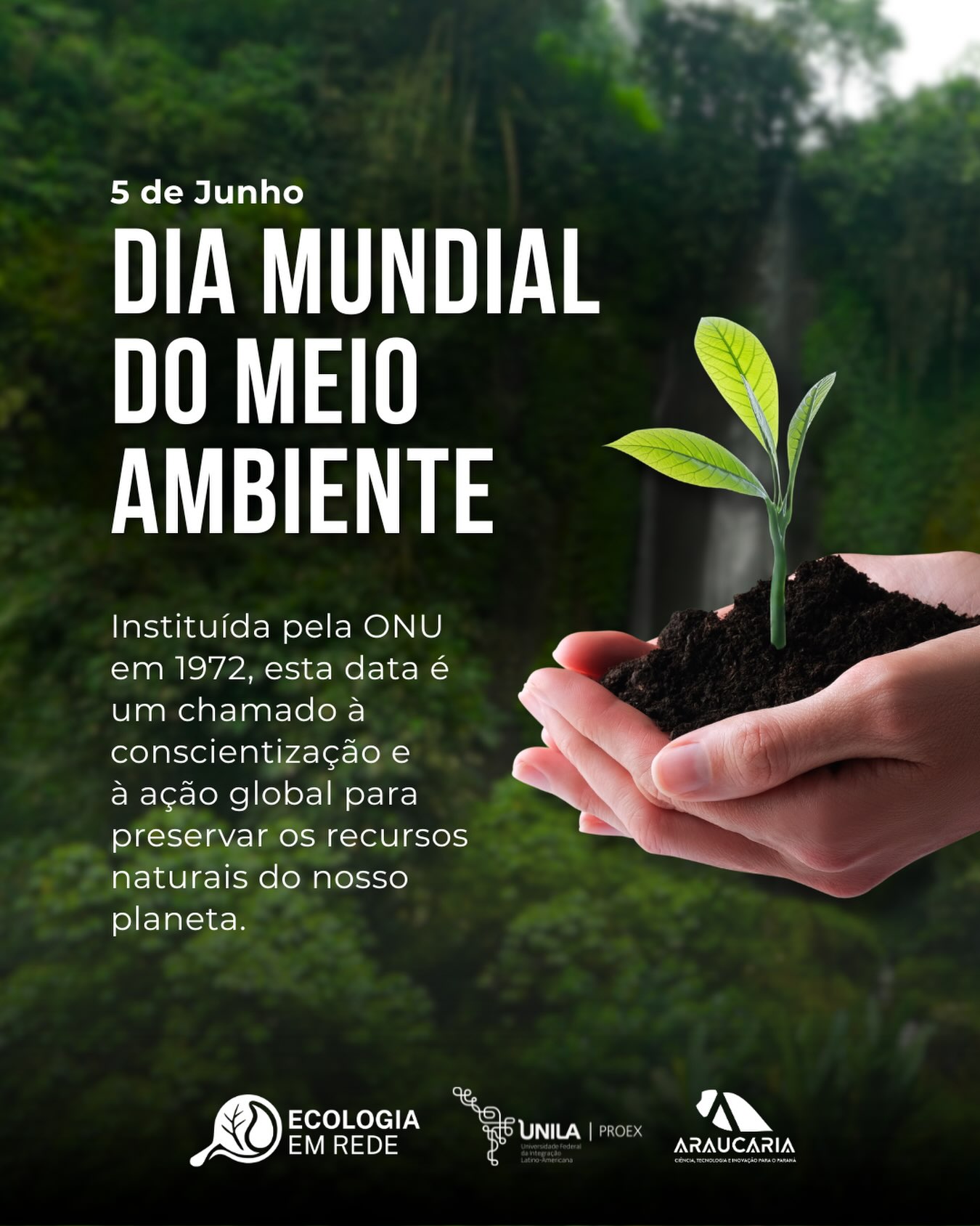 Hoje, 5 de junho, celebramos o Dia Mundial do Meio Ambiente, uma data instituída pela ONU em 1972 e que se tornou crucial para refletirmos sobre a importância da conscientização e ação global para a preservação dos recursos naturais do nosso planeta.
Cuidar da Terra não é uma tarefa para o futuro, é a nossa missão no presente. Que a reflexão de hoje se transforme na mudança que queremos ver amanhã. 🌍💚
Texto: Ana Clara Filimbert
(Ilustração CANVA)
#diamundialdomeioambiente #biodiversidade #preservação #conservacao #ecoemrede