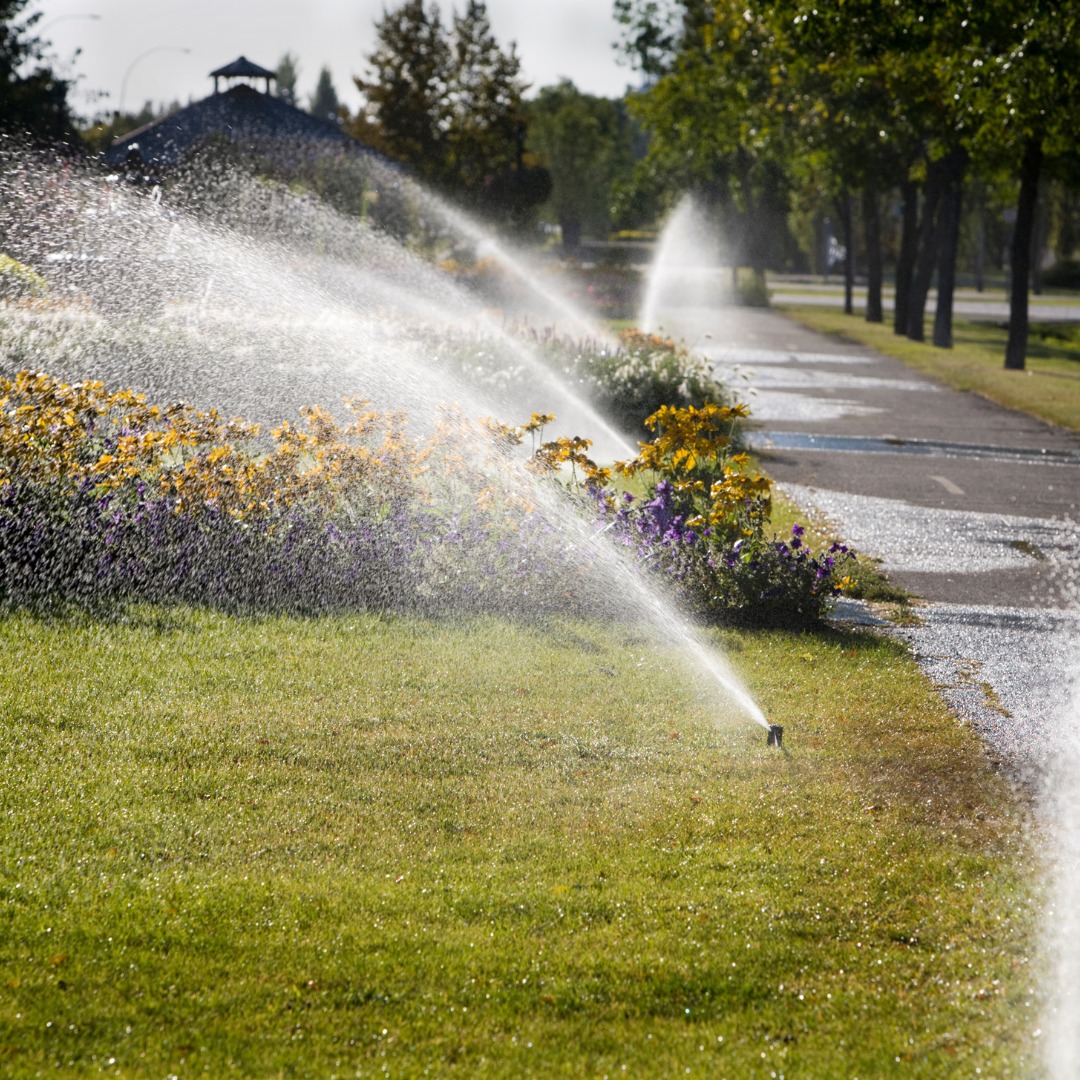There is much more to a lawn irrigation system then just sprinklers, valves, and pipes.
In fact, a complete lawn irrigation system is a comprehensive landscape system that covers all areas of irrigation. It even includes an automatic timer set to water when it is best to do so to keep your yard at its healthiest.
Learn more at https://www.thesprinklerco.com/
#TheSprinklerCompany #IrrigationSystem