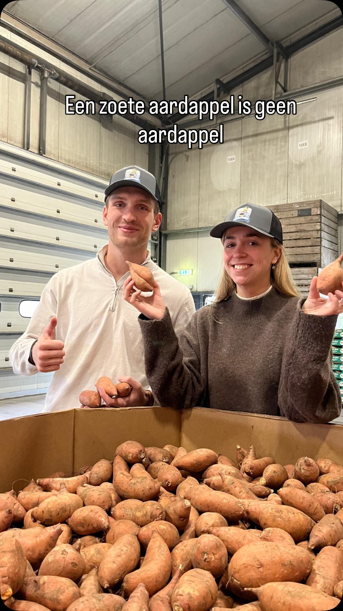 Een zoete aardappel is dus… geen aardappel 😳🍠
Zelfde naam, totaal andere plant.
#crunchi #food #zoeteaardappel #feitjes #wistjedat #vega #aardappel