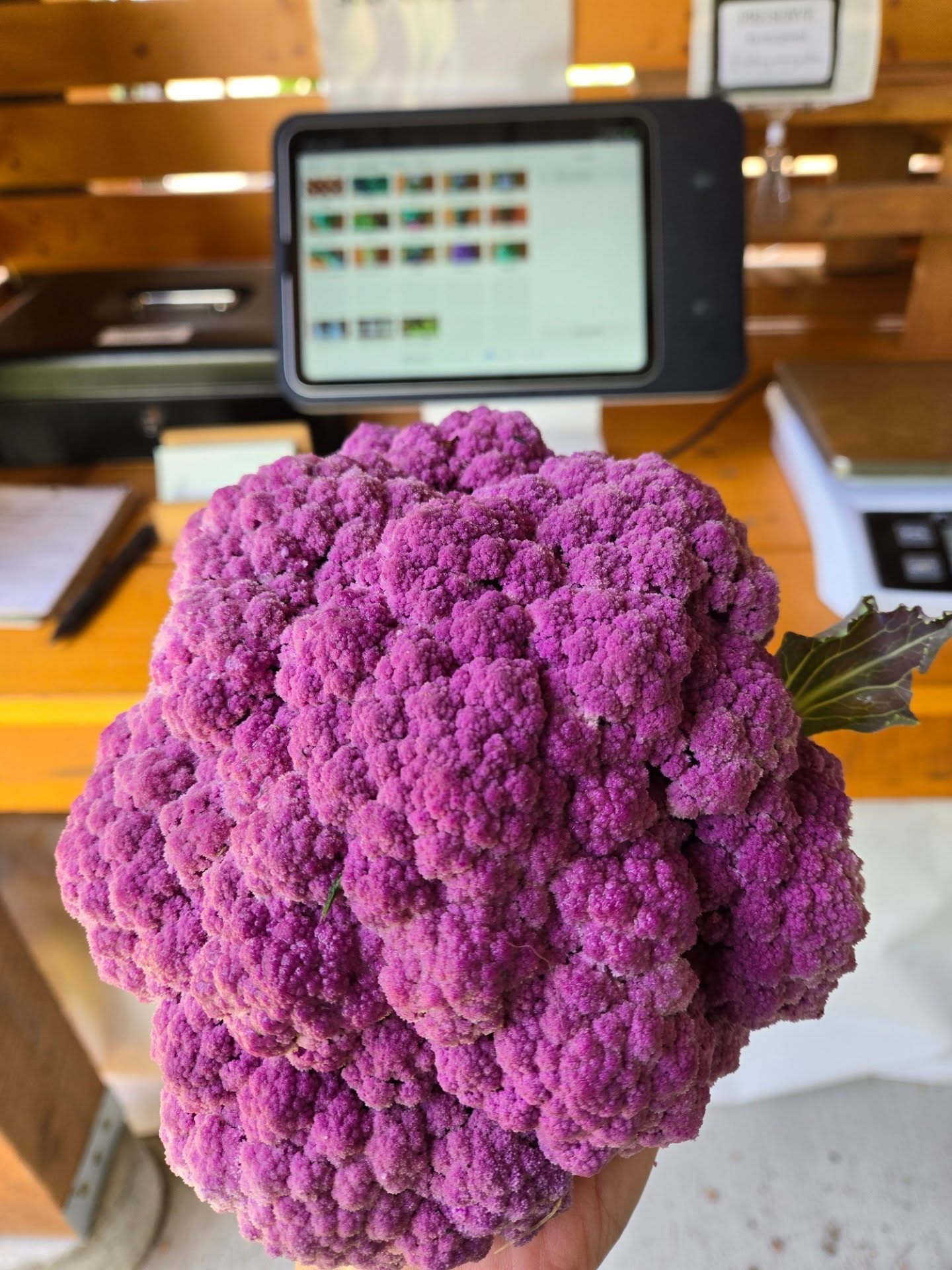 Some farm favorites in the Farmstand this week!💜 Keeping swiping to see the full list!
#farmstand #kootenaycornergardens #purpleveggies #eatlocal