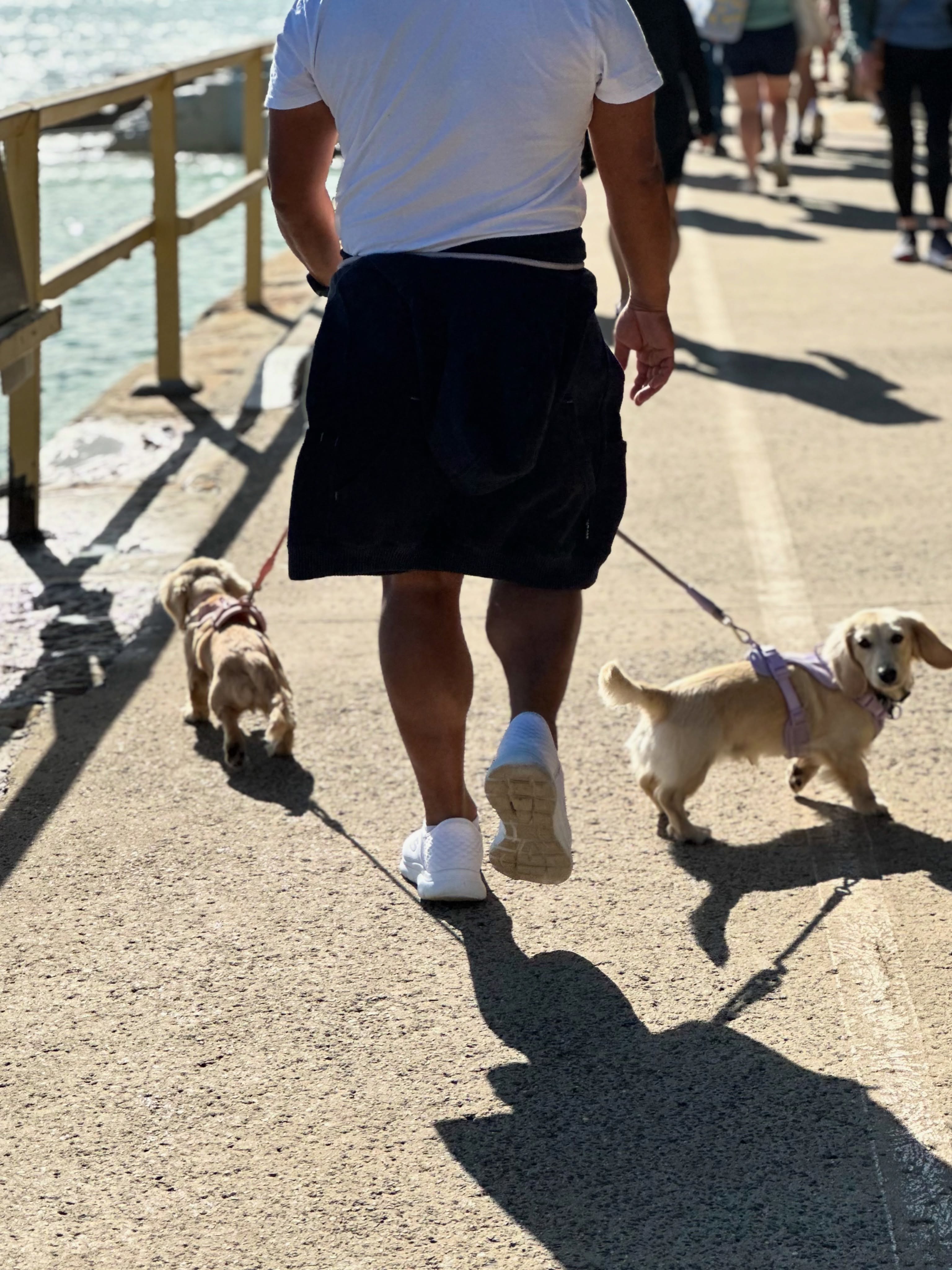 One dog is easy. Two dogs is a different story. 😂
No leash juggling. No tangles. More enjoyable walks.
Because dog parents deserve a walk that’s just as comfortable as their pups