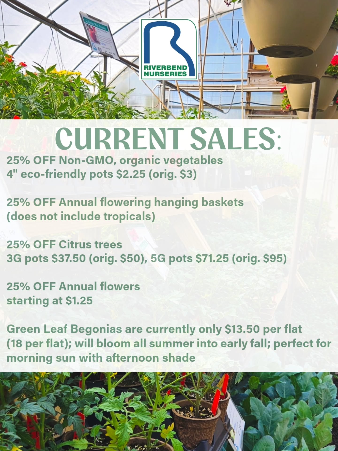 Heading into the weekend, here are our current sales! We'd love to see you tomorrow at your local nursery!🌿✨️
Saturday 8AM-4PM
📍2008 Lewisburg Pike, Franklin