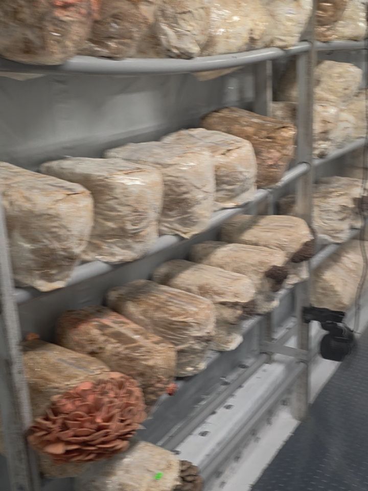 A little late on the post —
Big thanks to @whitepinemeadows for the beautiful locally grown mushrooms.
Proud to be working with local farmers and featuring these products on our menu 🍄