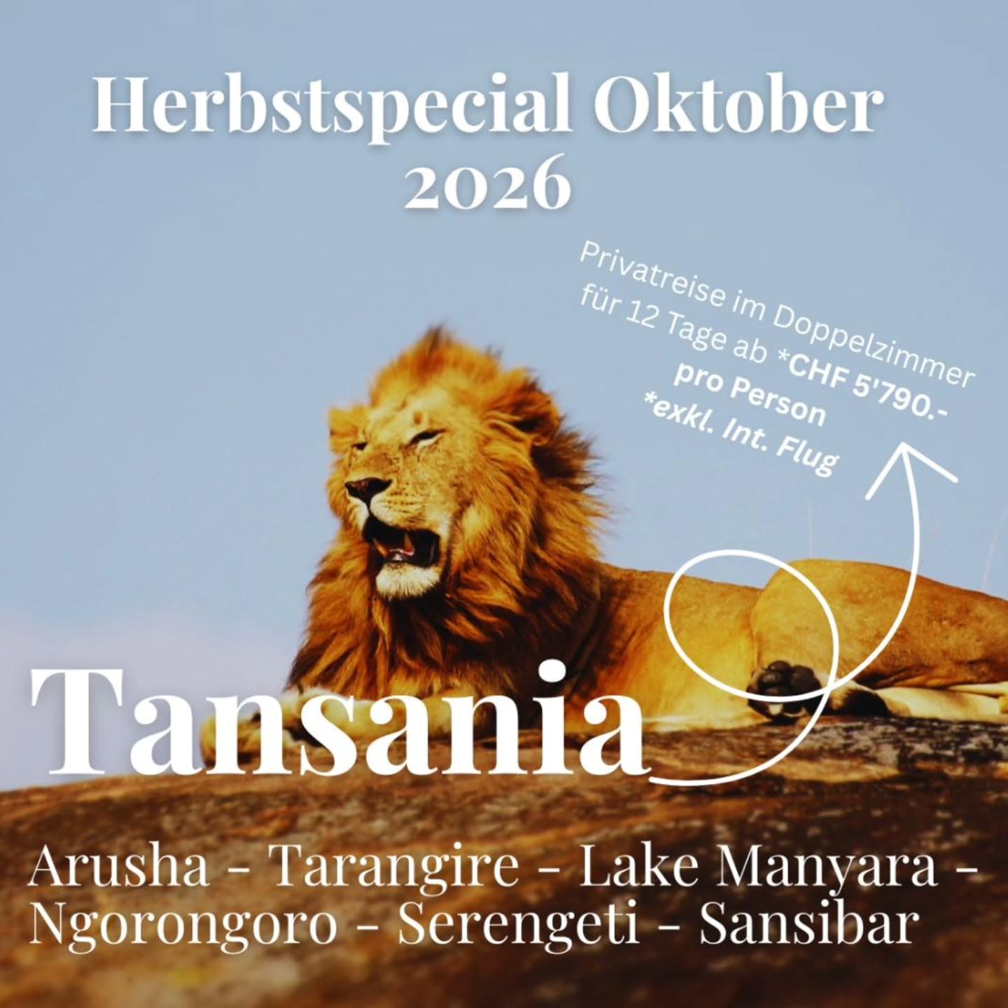 Möchtest du im Herbst den Sommer verlängern? ☀️ Dann ist unser Herbstspecial genau richtig für dich.
Wenn es bei uns langsam kühler wird, beginnt in Tansania eine wunderbare Reisezeit: warme Tage, eindrückliche Tierbeobachtungen und danach ein paar entspannte Tage am Indischen Ozean. 🐆🦒🌴
Unser Herbstspecial für Oktober 2026 verbindet 6 Nächte Safari mit 5 Nächten Sansibar.
Von Arusha geht es in den Tarangire-Nationalpark, zum Manyara-See, in den Ngorongoro-Krater und weiter in die Serengeti. Danach fliegt ihr nach Sansibar, wo türkisblaues Wasser und weisse Strände auf dich warten.
📆 12 Tage Tansania
🚗 Privatreise mit englischsprachigem Guide
🍂 Herbstspecial Oktober 2026 ab CHF 5’790.- pro Person im Doppelzimmer
Die Reise ist auch zu anderen Daten durchführbar, der Spezialpreis gilt aber nur für Oktober 2026.
Mehr Infos findest du auf unserer Webseite oder direkt über den Link in der Bio.