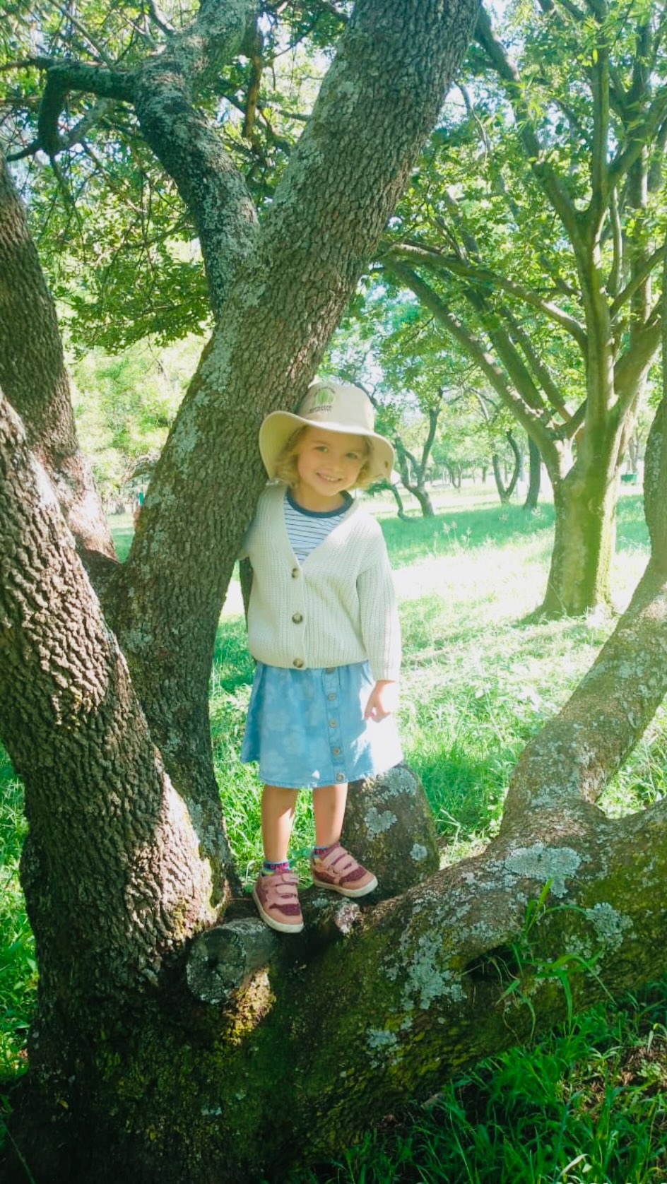 Nature, movement and joyful learning everyday 🍃# outdoor play # nature play # montessoripreschool # fieldandstudymontessori #earlychiodhoodeducation