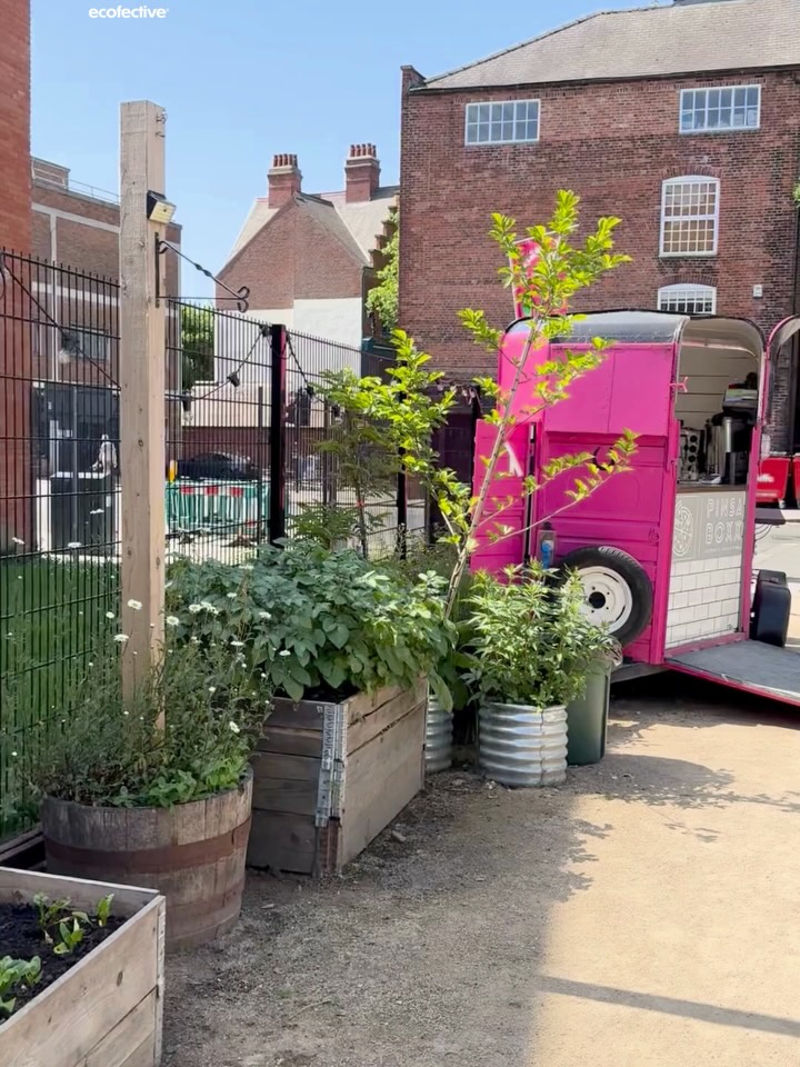 📚✨ Did you know we had our very own Joyful Rebellion Stand at the Book Worms event last month? 🌸🎉
Here’s a snapshot of how the day went! 🎥💫 (Swipe to the last slide to see how we cooled down on the hottest day of the year so far! 🌞😀)
Also a big thank you to @heartofeden_ahs for the donation of the compost! 💚
#BookFestival #JoyfulRebellion #eventhighlights