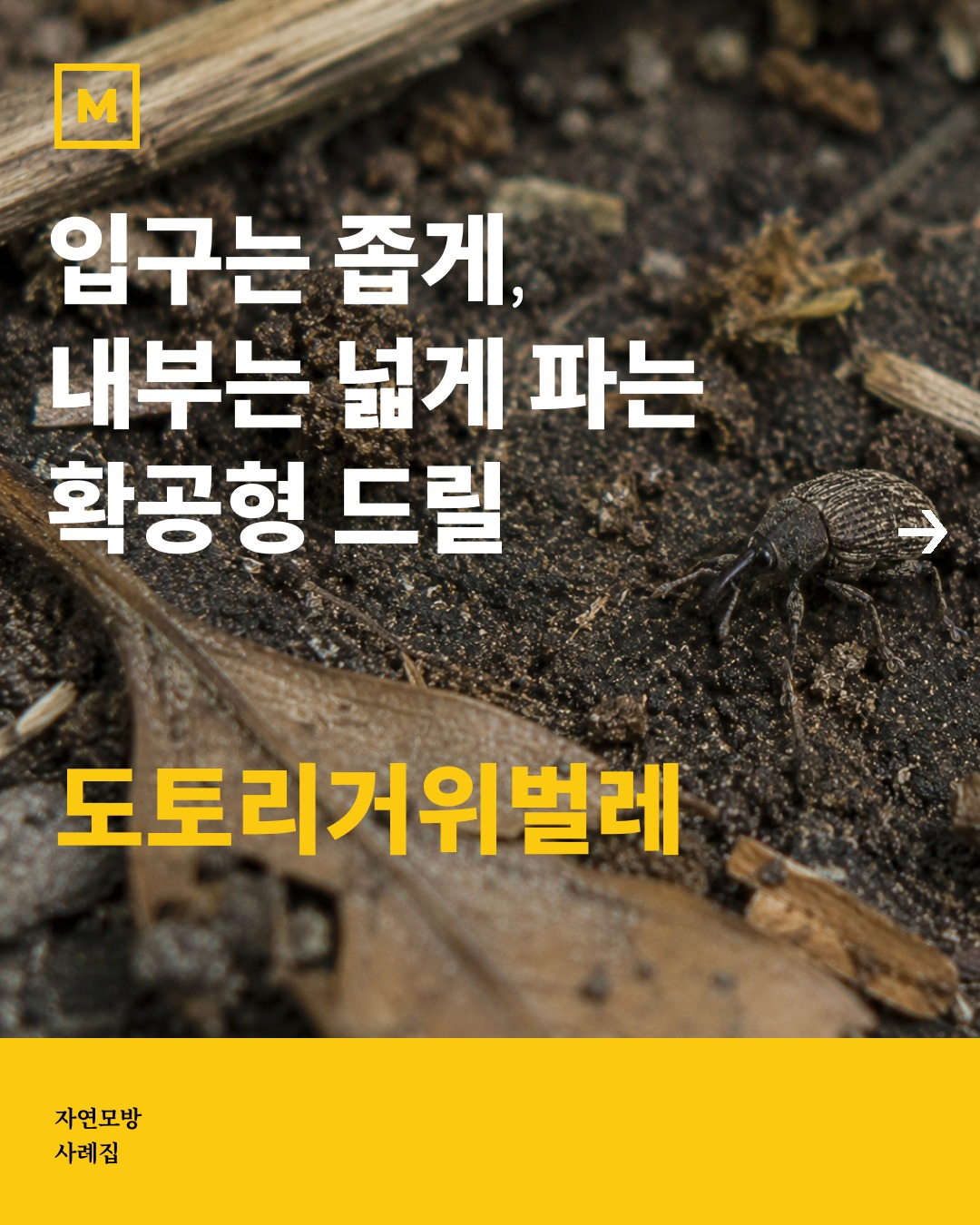 안녕하세요!
자연에서 영감을 받아 더 나은 미래를 창조하는 호모미미쿠스입니다.
오늘은 '도토리거위벌레'에 대한 이야기를 소개합니다. 도토리거위벌레는 단단한 도토리 표면에 아주 작은 구멍만 내고 들어가, 안쪽 공간만 동굴처럼 넓게 파내는 독특한 '확공형' 타공 기술을 가졌습니다. 연구진은 주둥이 끝에 달린 턱을 자유자재로 벌리며 속을 깎아내는 이 정교한 메커니즘을 모방하여, 겉 표면의 손상은 최소화하고 내부는 정밀하게 절삭하는 획기적인 드릴 기술을 개발해 냈습니다. 작은 곤충의 지혜가 어떻게 인간의 상처를 치료하는 의료 장비와 정밀 산업의 아이디어로 이어졌는지, 자연이 설계한 놀라운 기계 공학의 세계를 지금 만나보세요.
미미쿠스가 찾은 '도토리거위벌레'에 대한 내용은
https://nature.mimic.us/taxon?Search=14v34a0s 에서도 찾아볼 수 있습니다.
이처럼 자연 속에는 다양한 아이디어가 많이 숨어 있습니다.
더 많은 자연모방 사례가 궁금하다면, 프로필 링크를 통해 홈페이지를 방문하시거나, @mimicus_official를 팔로우하여 주기적으로 소식을 받아보세요!
감사합니다. 🌱
#미미쿠스가소개하는_자연모방사례
#호모미미미쿠스 #미미쿠스 #생체모방 #생체모방사례 #생체모방기술 #자연모방디자인 #기술 #생체모방기업 #자연과학 #ESG #생명과학 #도토리거위벌레