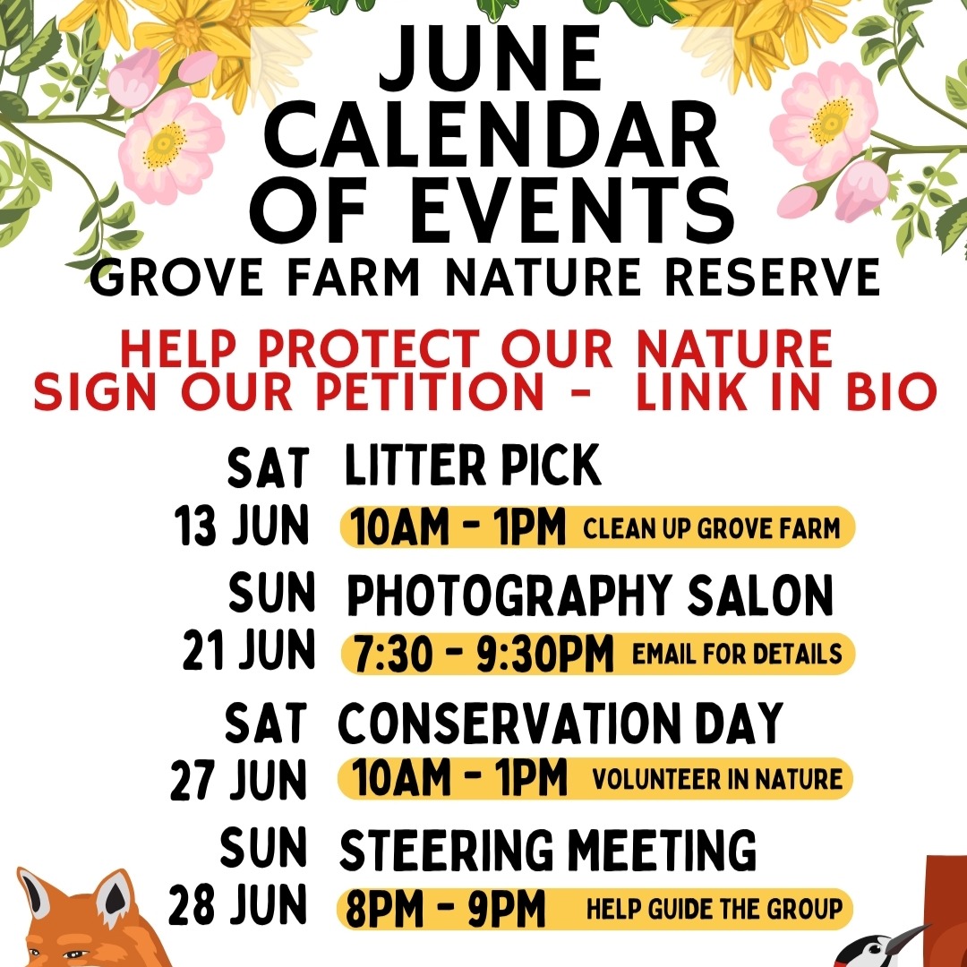 We are still fighting development on Grove Farm so please see links in our bio to understand how you can help us.
Join us this June for an adventure with Friends of Grove Farm! Whether it's a guided walk 🚶 or an activity day 🛠️, we’d love to see you at Grove Farm nature reserve! Link in Bio for our contact details.
#volunteers #createsomething #friendsofgrovefarm