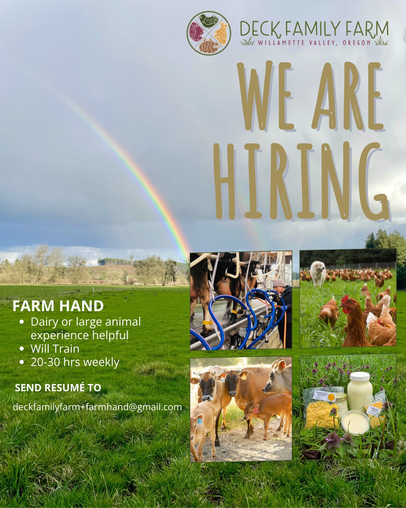 Deck Family Farm is hiring a farm hand. This person must love being outdoors with beautiful scenery and happy animals. It is great if you have experience in dairy or with large animals, but we also train. 20-30 hours per week in Junction City.
Send an email to deckfamilyfarm+farmhand@gmail.com. Include a letter of interest and your resumé.