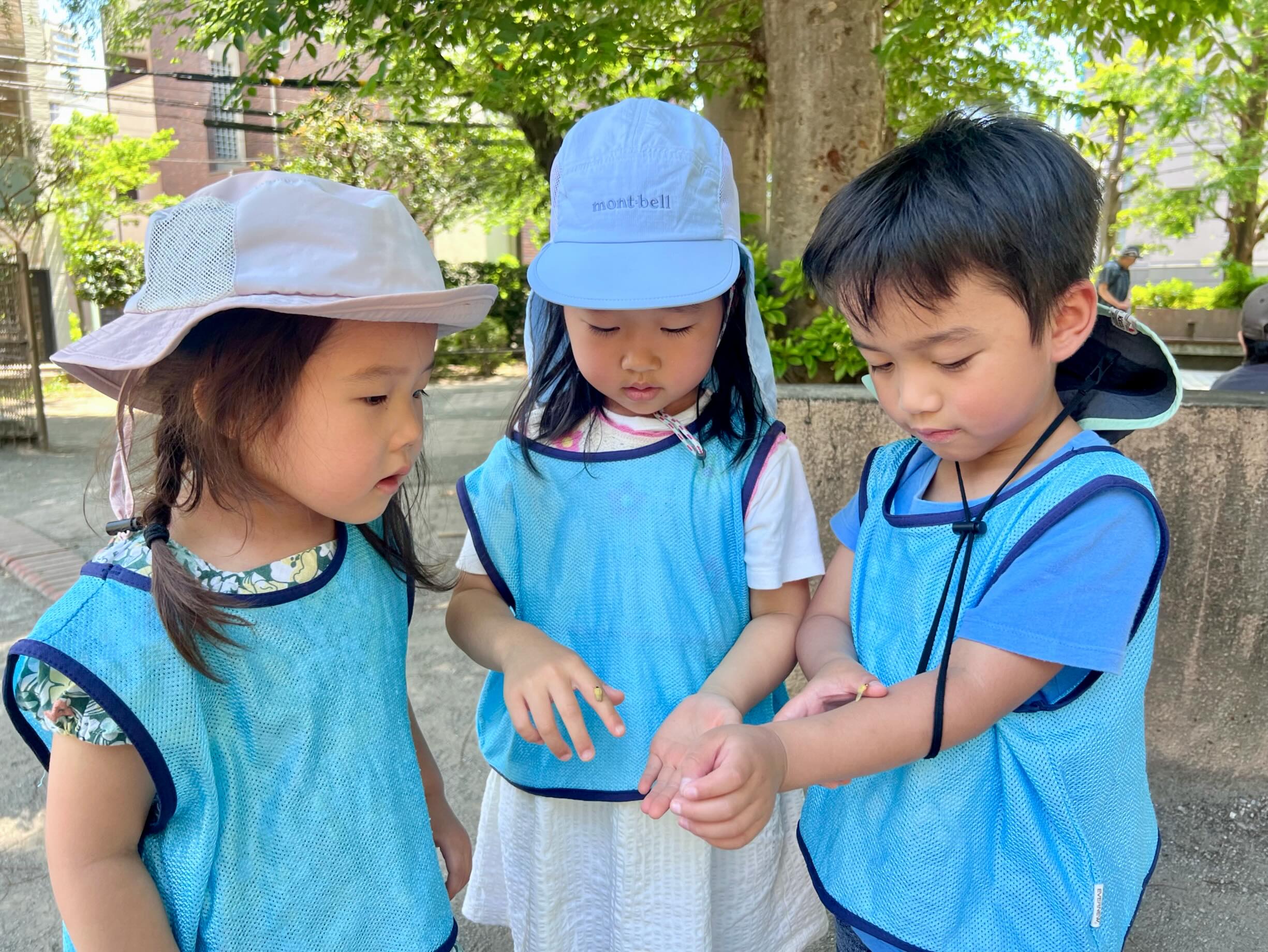As we begin our final week before summer, we’re taking a moment to celebrate all the growth, confidence, and friendships that have blossomed this year. Every small step has been part of a beautiful journey.
Comment with one word that reminds you of this school year