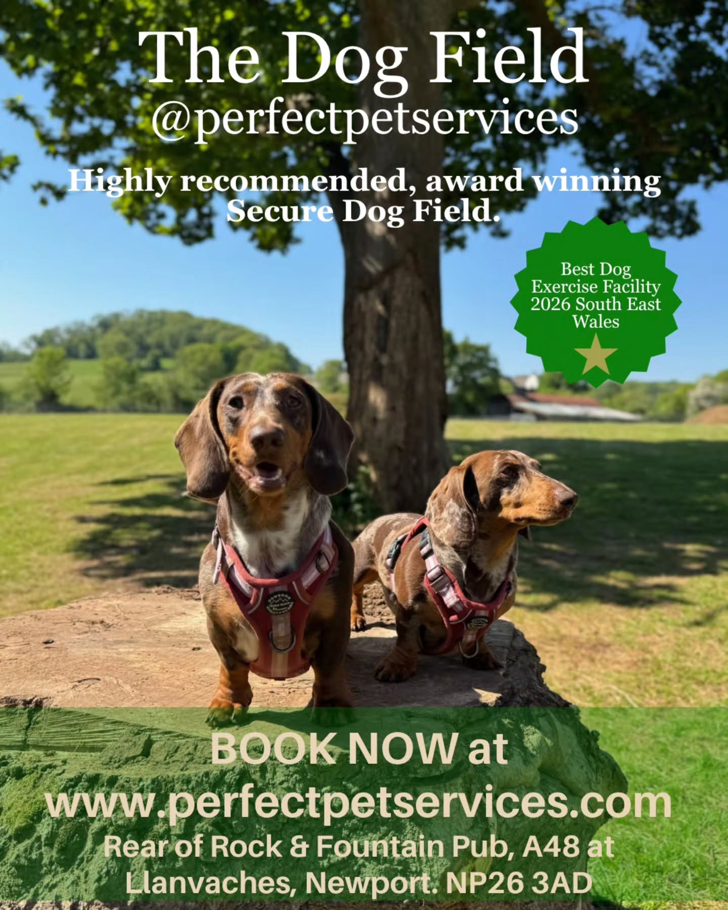 The Dog Field 🌳 @perfectpetservices. Book our award winning secure dog field . Highly recommended. 5 acre field with woodland. Fresh water and complimentary poo bags. Www.perfectpetservices.com