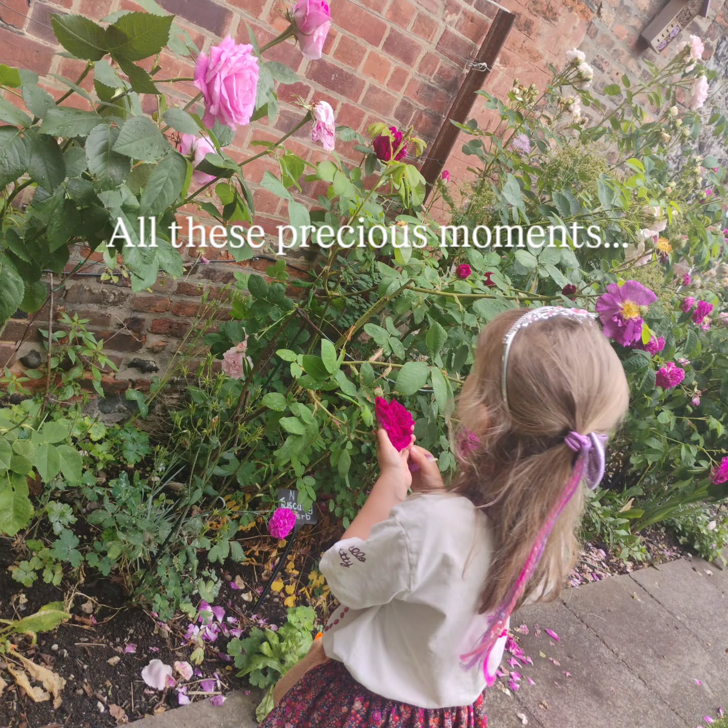 I am absolutely thrilled to be able to have my blog page back up and running!
Here you'll find a mix of inspiring personal stories of overcoming challenges, meeting life's big moments and building success, guides to specific business and personal wins, pro tips to get through your day without overwhelm, and protecting your physical and mental health, now and for the future.
This is one of my original blogs from 2022 about moving through grief as that was the big theme alongside motherhood at the time. It's great to have these pieces back up for you guys again, so enjoy, I'm always open to conversations x
https://www.shonagoodall.com/post/the-unexpected-milestone
#mumsofinstagramuk #mumpreneur #mumpreneurlife #grief #lifelessons