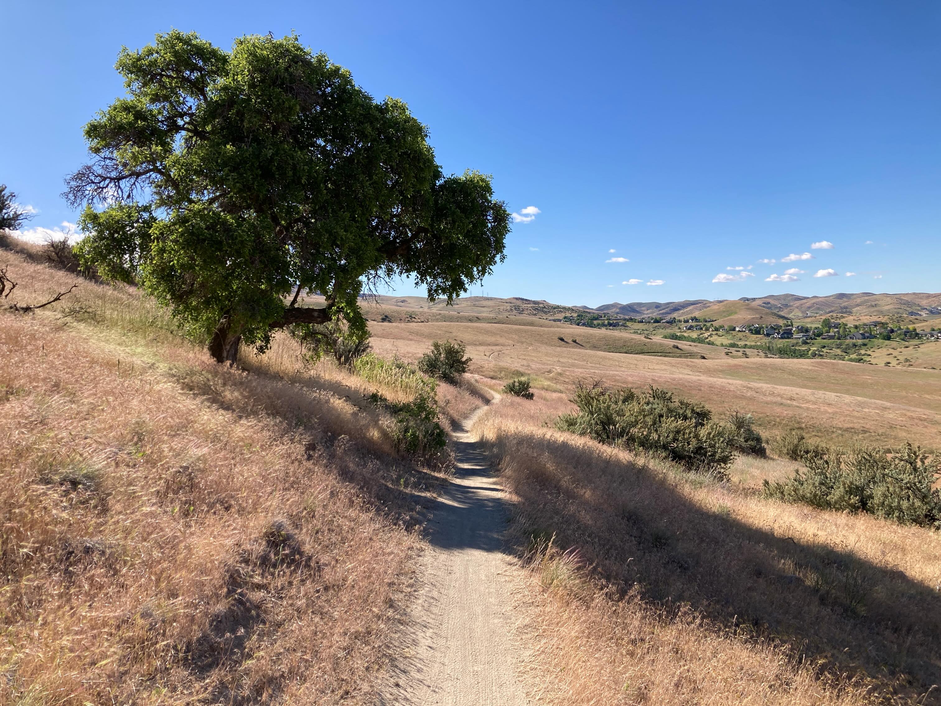 A ride through the hills to clear my mind and focus on the present moment.
Sometimes the path forward becomes clearer when you stop thinking about what’s next and focus on what’s right in front of you.
see it.
feel it.
believe it.
Start Creating
App update coming soon.
@vizact.app
#VizAct #VizActLife #IntentionalLiving #mtblife #ManifestYourLife