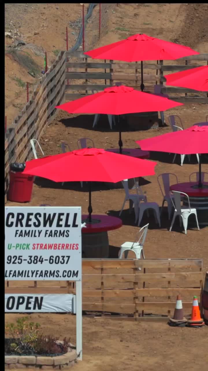 A farm visit is a nice way to spend the day🍓