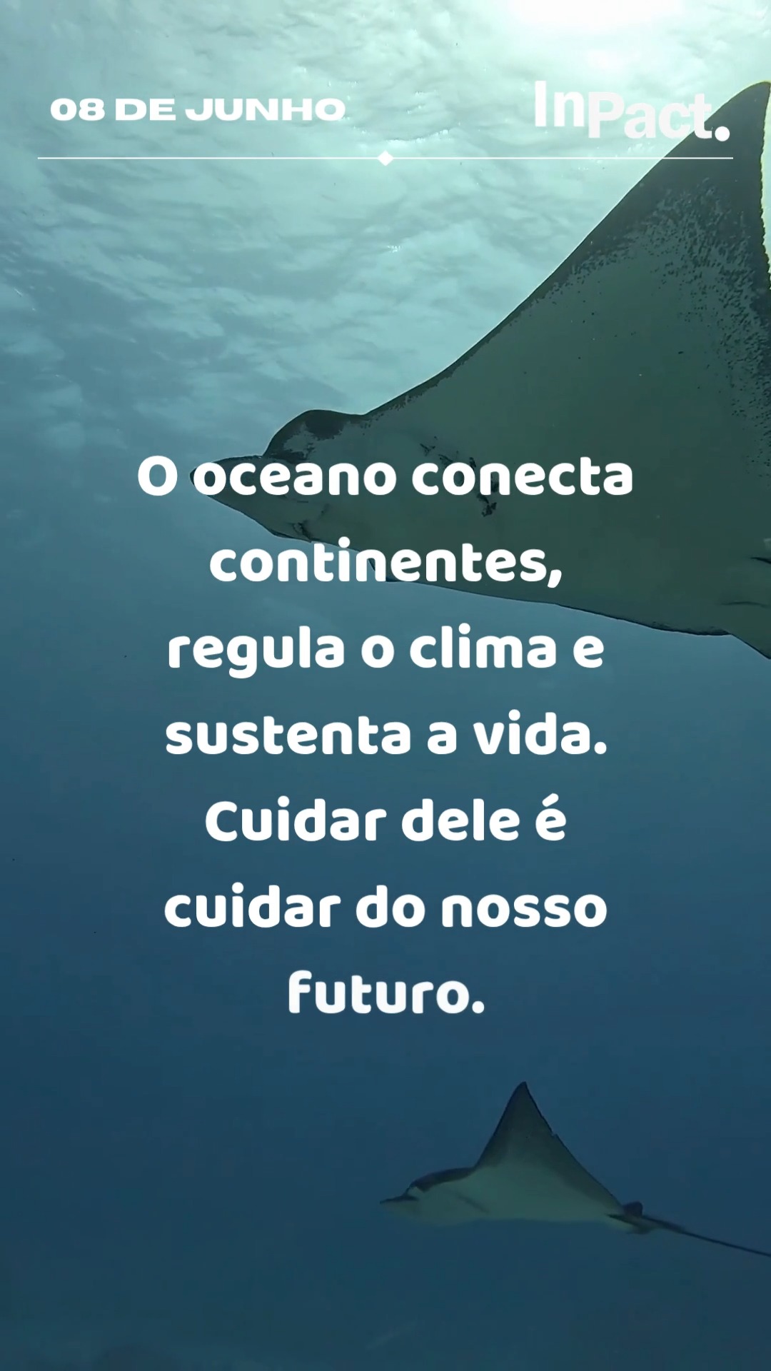 08 de Junho, Dia Mundial dos Oceanos, nesta data, celebramos a vida que pulsa sob as águas e renovamos nosso compromisso com a ciência, a conservação e a restauração dos ecossistemas marinhos. Porque proteger os oceanos é proteger o futuro.🌊🪸💙