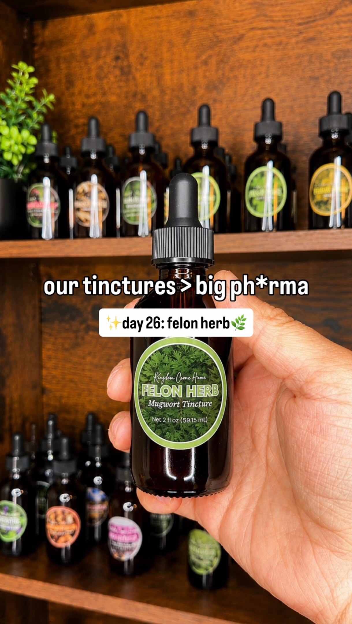 DAY 26: Felon Herb🌿
What It Is:
A whole body wellness tincture traditionally used to support digestion, healthy cravings, liver and kidney function, relaxation, detoxification, and overall balance from the inside out!
Who It’s For:
👉🏼Anyone struggling with sugar cravings
👉🏼Feeling bloated or sluggish after meals
👉🏼People wanting gentle liver + detox support
👉🏼Anyone dealing with stress or restless nights
👉🏼Women looking for menstrual comfort support
👉🏼Anyone wanting to feel healthier overall
Why It’s a Must Have:
If you’ve been feeling a little “off” lately…low energy, constant cravings, digestive issues, or like your body just isn’t functioning its best, Felon Herb may be exactly what you need.
🔗Comment “TINCTURE” below and we’ll send you the details!
—
#felonherb #herbaltincture #holisticwellness #herbalremedies #nontoxicliving