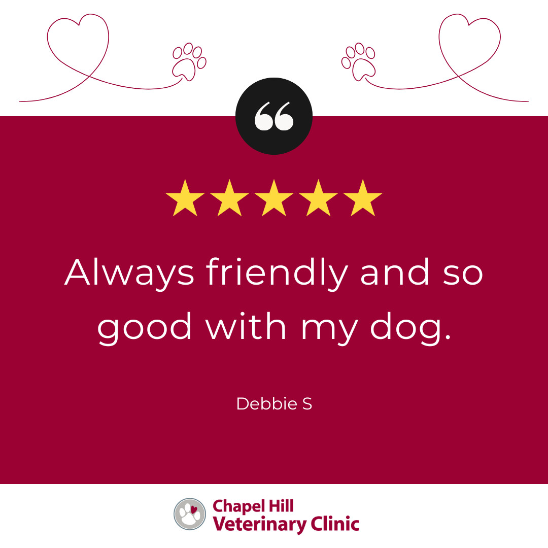 ⭐️⭐️⭐️⭐️⭐️
Another happy pet family! 🐾
Providing a welcoming, stress-free experience for both pets and their owners is what we strive for every day 💙 Thank you for trusting us with your furry family member!