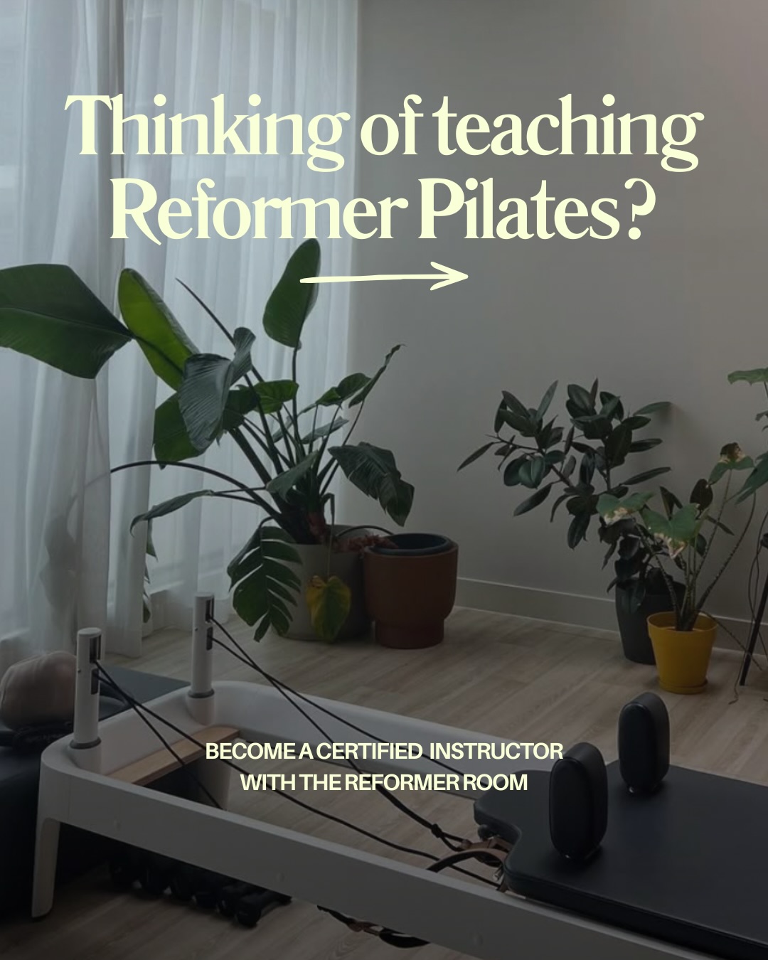 The class that changed your week could become the career that changes your life💛💛
Our Reformer Teacher Training is designed to give you the confidence, knowledge, and practical skills to teach safe, engaging classes from day one.
✨ Small group learning
✨ Expert-led training
✨ Real-world teaching experience
Next course: July 2026