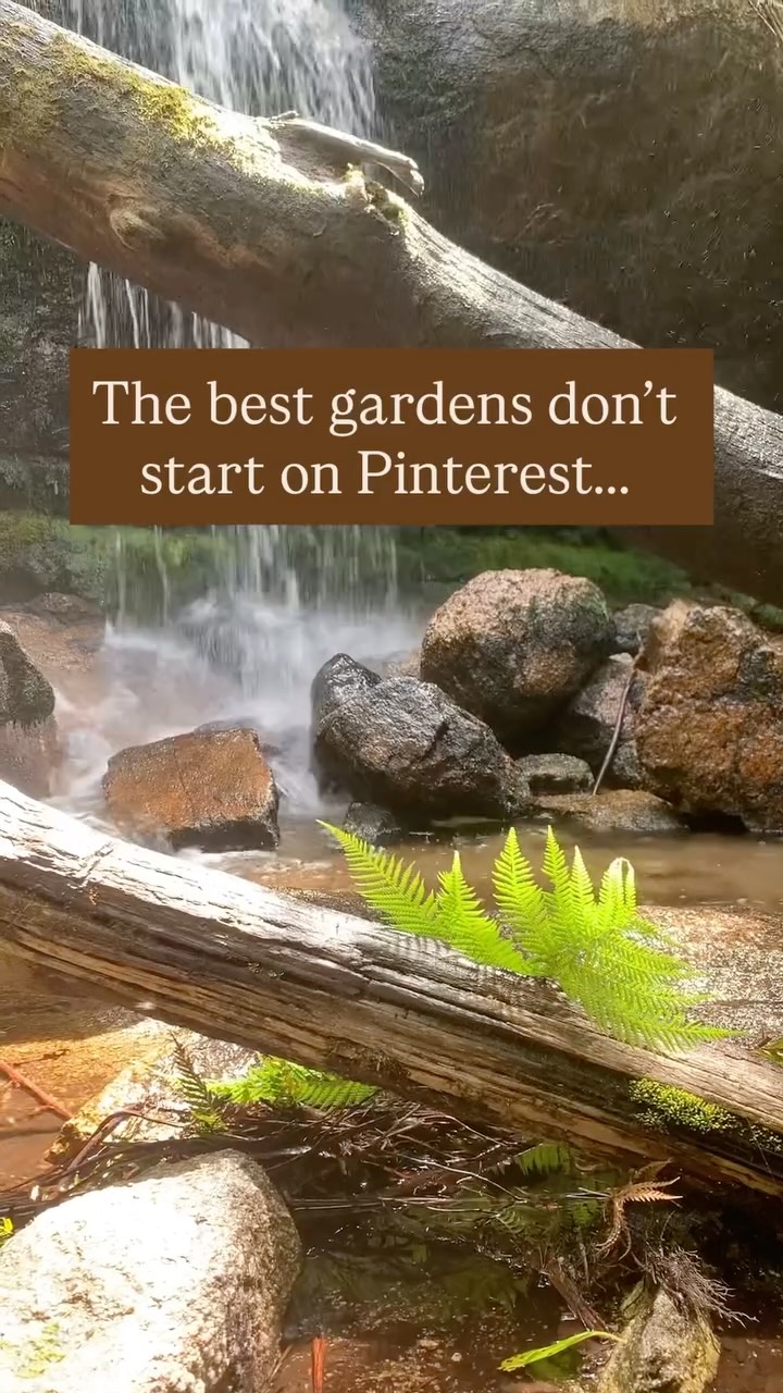 They start in the bush.
When we first meet our clients, they usually have hundreds of inspiration images.
Beautiful gardens, dream homes and random plants they like.
But very rarely do they feature natural landscapes.
Yet time spent in nature informs everything we do.
Because here’s the thing: nature knows best.
The layers. The textures. The way living systems work together.
Before you design your garden, go for a walk in your local bushland.
Notice what thrives and how it sits in the landscape.
How the boulders lay and what they're composed of.
We can learn a lot from carefully designed gardens.
But nothing compares to the ancient wisdom of the earth.