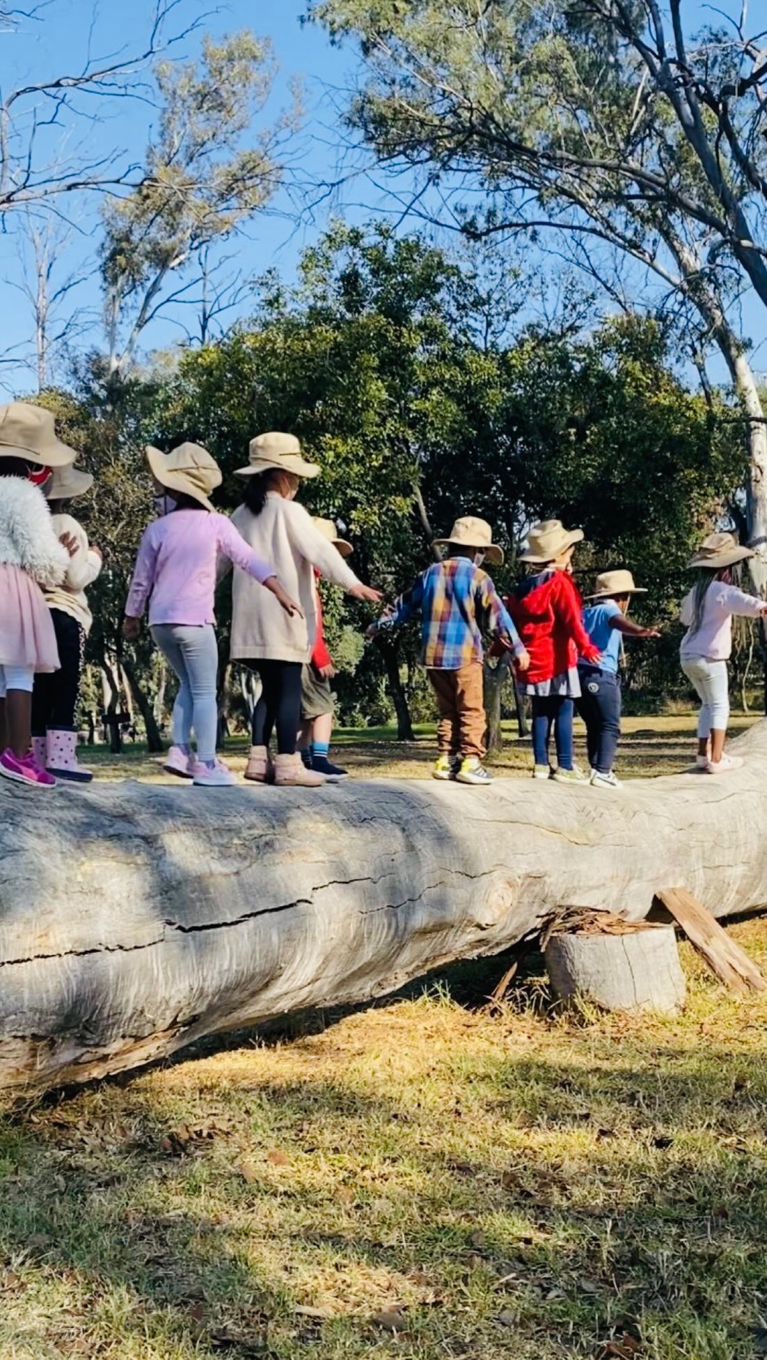 There is something truly magical about winter mornings in nature🍂Our children enjoyed a peaceful walk in the park as they explore the sights, sounds and beauty of the season🧡Nature based learning provides children with meaningful real life experiences. What a wonderful morning filled with fresh air, happy smiles and special memories #fieldandstudymontessor #montessoripreschool #naturebasedlearning #learningthroughnature #preschool
