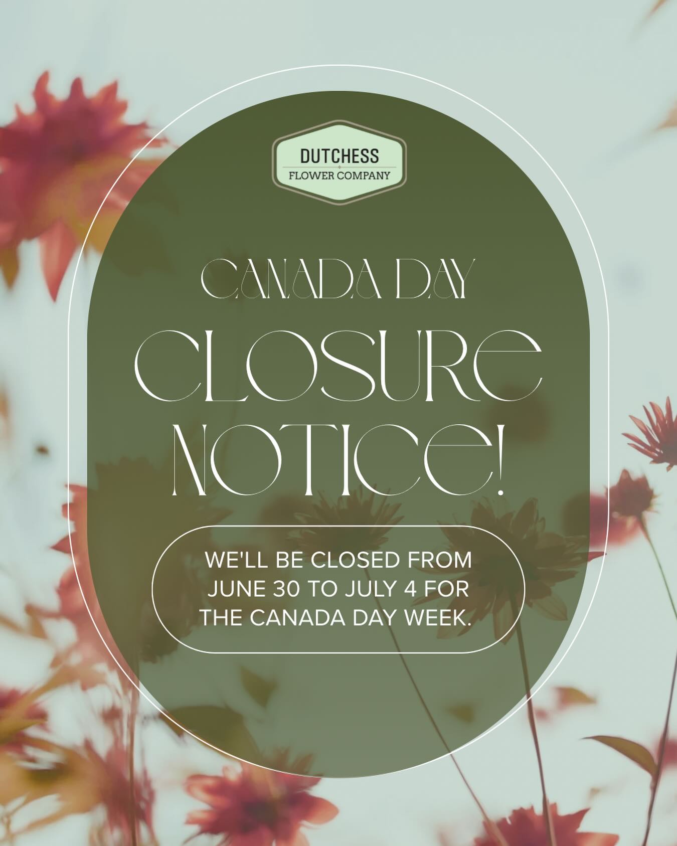 ☀️ Summer Break Notice ☀️
Just a friendly reminder that Dutchess Flower Company will be taking a short summer break from June 30th to July 4th.
We’ll be back to our regular hours on Tuesday, July 7th.
If you’re planning flowers during the Canada Day week, please keep our closure in mind when placing orders.
Thank you for your support, and we hope you have a wonderful Canada Day week! 🇨🇦🌸