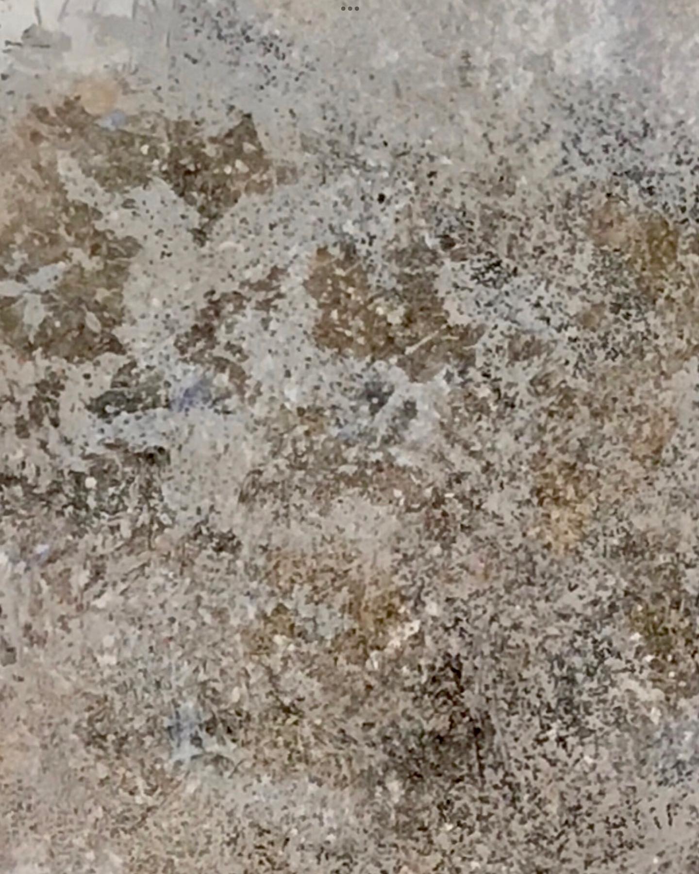 Sc_02
Détail