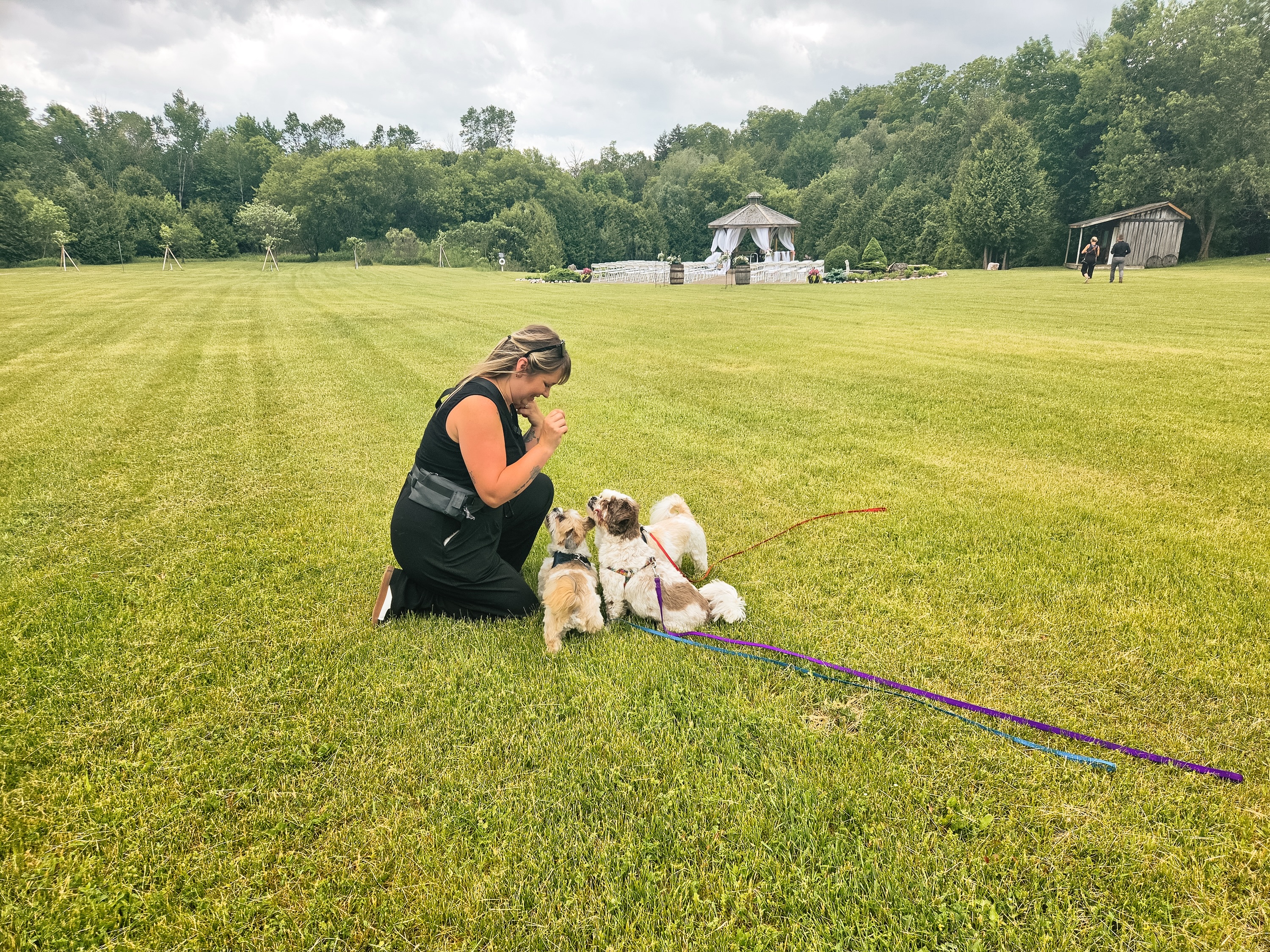 Three dogs. Two handlers. One incredible wedding day. 🐾🤍
Bella, Bri, and Nala joined their parents for their wedding at The Rolling Acres this past weekend, and what a joy they were to spend the day with. From photos and cuddles to soaking up all the excitement, these three Shih Tzu mixes made sure there was never a dull moment at @the.rolling.acres
A huge shoutout to our dream duo, Meg and Trev, who took amazing care of the girls and made sure they were comfortable, safe, and included throughout the celebration.
We also got to work with one of our favourite photographers again @duenorth.photo , who referred this wonderful couple our way. Referrals truly mean the world to our small business. Whether it comes from a past client, photographer, planner, venue, or friend, there is no greater compliment than someone trusting us enough to recommend our services.
If you’ve worked with us before and loved your experience, we’d be so grateful if you’d share our name with a friend planning their wedding. 💕
Getting married and want your pets included too? Send us a message and let’s chat about your wedding day plans.
#DogFriendlyWedding #OntarioWedding #WeddingDogs