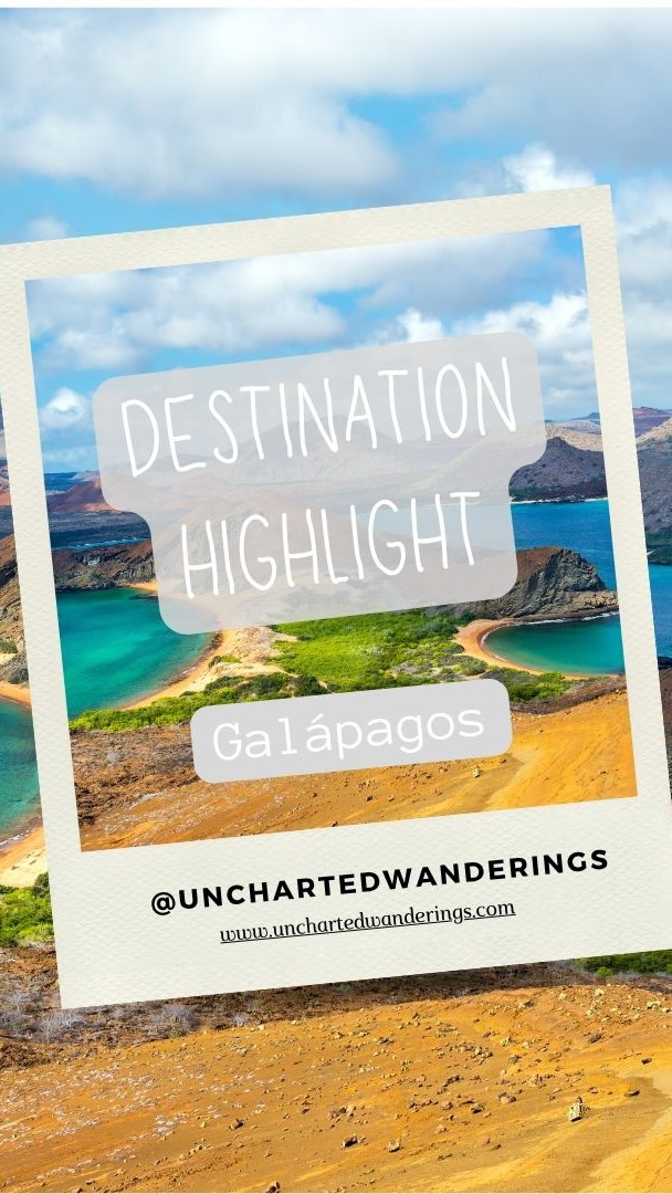 Destination Highlight: Galápagos 🇪🇨
The Galápagos Islands are one of those places that feel completely different from anywhere else. The wildlife sightings there are some of the most impressive in the world Seeing sea lions lounging right beside you and giant tortoises moving slowly through the water is something you don’t forget. The scenery is just as impressive, from volcanic landscapes to crystal clear water, it left an impression on me that kept me coming back (5 times!)
The Galápagos have a really special place in my heart. It’s one of the few places where you feel truly close to nature the entire time, and every island gives you something new to explore.
If you ever get the chance to go, it’s one of those trips that stays with you forever.
Follow me for all things travel ✈️
#vacation #travelblogger #travelblog #traveltheworld #traveling #traveler #solotravel #sheisnotlost #traveltips #solofemaletraveler #travelinspiration #travelhacks #travelagent #traveladvisor #vacationplanning #travelplanner #travelagency #luxurytravel #travelagents #travelexpert #travel #dreamvacation #vacationplanner #traveldeeper #ecuador #visitecuador #galapagos #galapagosislands #santacruz #visitgalapagos