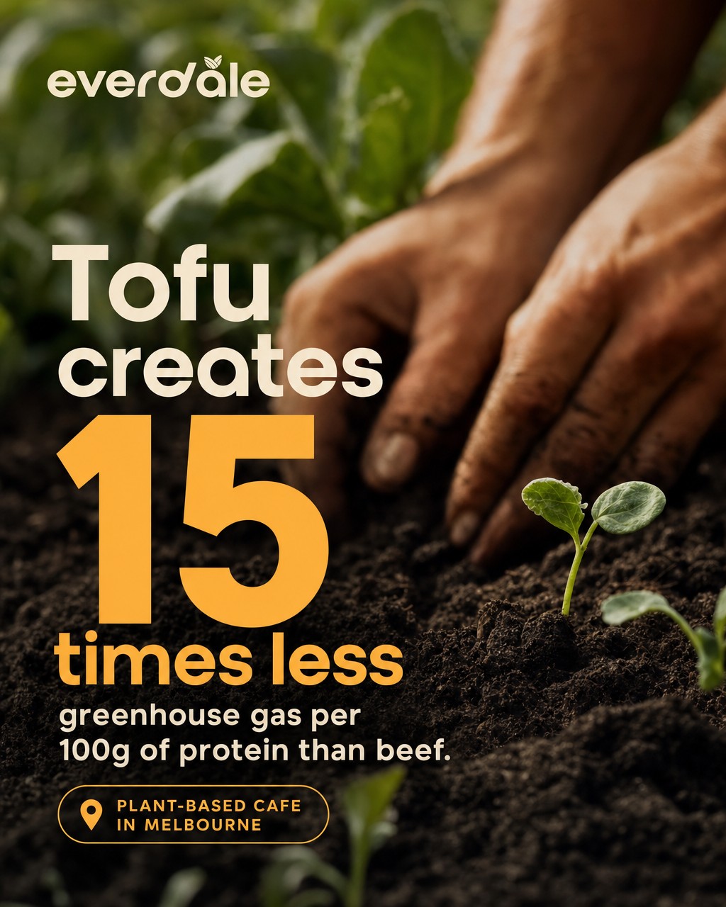 Did you know? Choosing tofu over beef is a small swap with a big impact for our planet 🌱 Come taste plant-based goodness with us in Springvale 💚
Source: Our World in Data, 2018
#Everdale #PlantBasedMelbourne #SpringvaleEats #VeganMelbourne #SustainableEating #TofuLove #PlantPowered
📍1a/830-850 Princes Hwy, Springvale, VIC 3171
🕒Mon: 11:30 AM–3 PM, 5–8.30 PM
🕒Tue: 11:30 AM–3 PM, 5–8.30 PM
🕒Wed: 11:30 AM–3 PM, 5–8.30 PM
🕒Thurs: 11:30 AM–3 PM, 5–8.30 PM
🕒Friday: CLOSED
🕒Saturday: CLOSED
🕒Sunday: 11:30 AM–3 PM, 5–8.30 PM