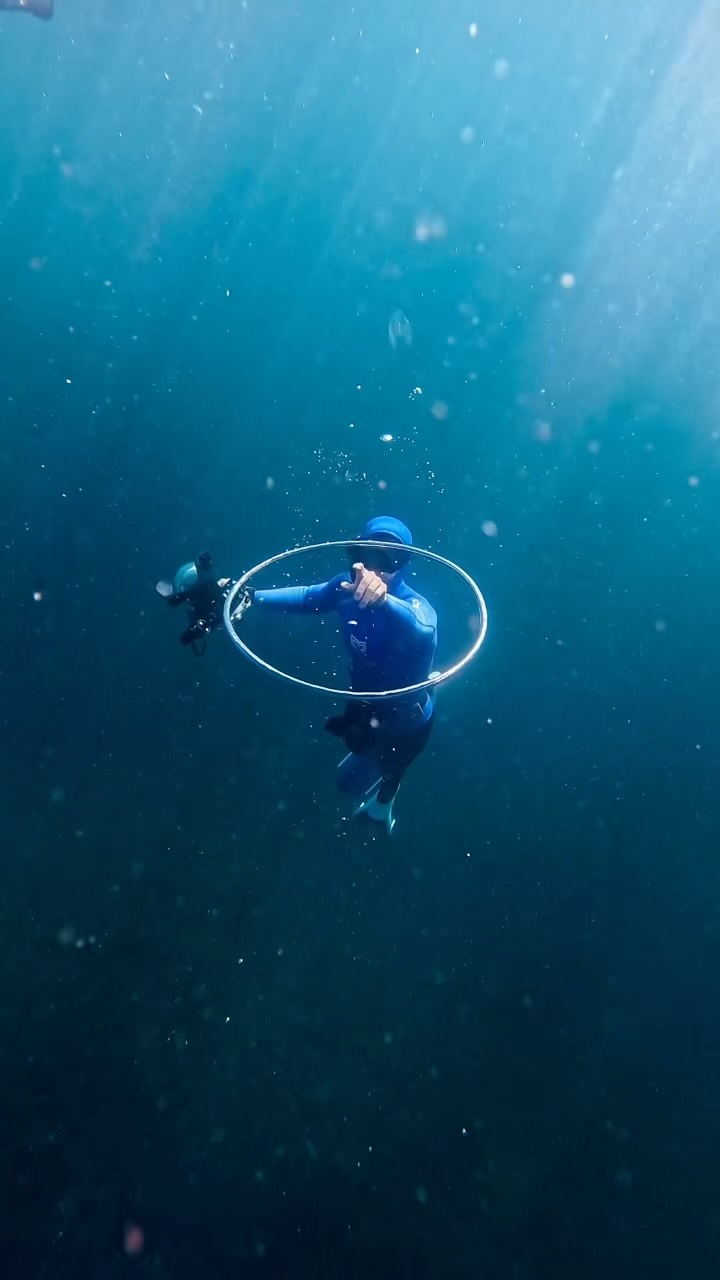 We are so lucky to have Freediving as an outlet. 🧜♀️
From the mind blowing wildlife encounters, to the incredible people we meet along the way, and the quiet below the surface…it’s hard to beat.