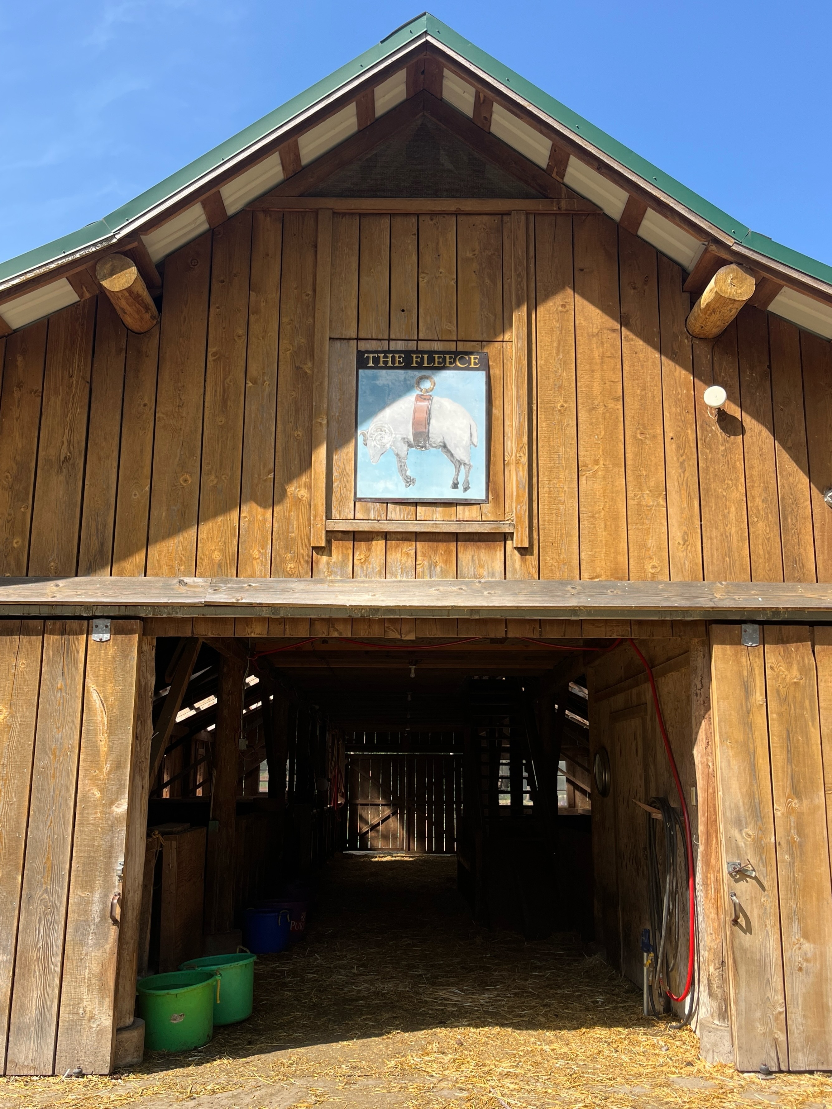 The Golden Fleece icon of sheep being weighed represents the significance of sheep husbandry and the historical wool trade. We felt really lucky when we found this sign at a local antique store and knew the right place for it, hanging above the entry of our sheep barn.
Swipe to see just how golden our rare breed long-wool fleeces can be 🐑✨
#thegoldenfleece #wool #farmlife #woolhistory #sheepbarn