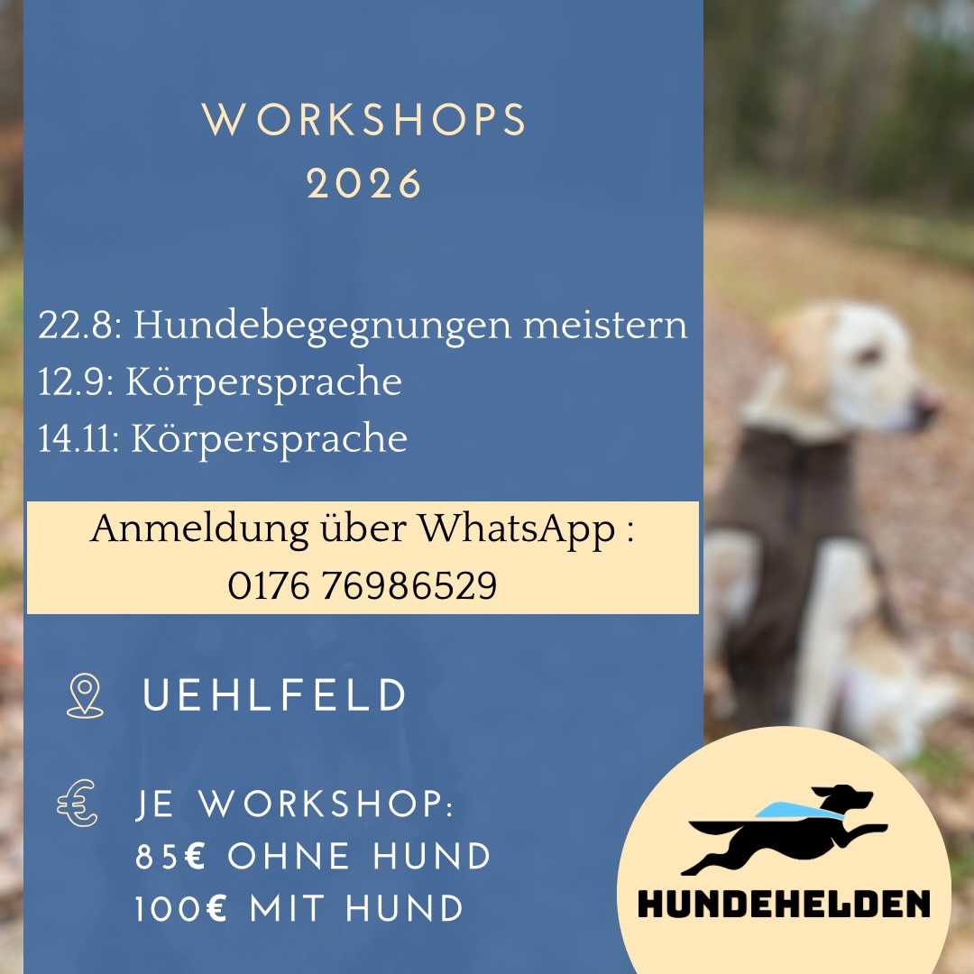 Dieses Jahr warten noch ein paar tolle Workshops auf euch.
Die Themen sind Körpersprache und Hundebegegnungen.
Meines Erachtens zwei absolute Dauerbrenner. 🔥
Die Körperspracheseminare bauen nicht aufeinander auf und können getrennt voneinander gebucht werden.
Meldet euch gerne per WhatsApp oder PN an.
Ich freue mich auf euch♥️.
#hundeheldenworkshop #workshop #hundeverstehen