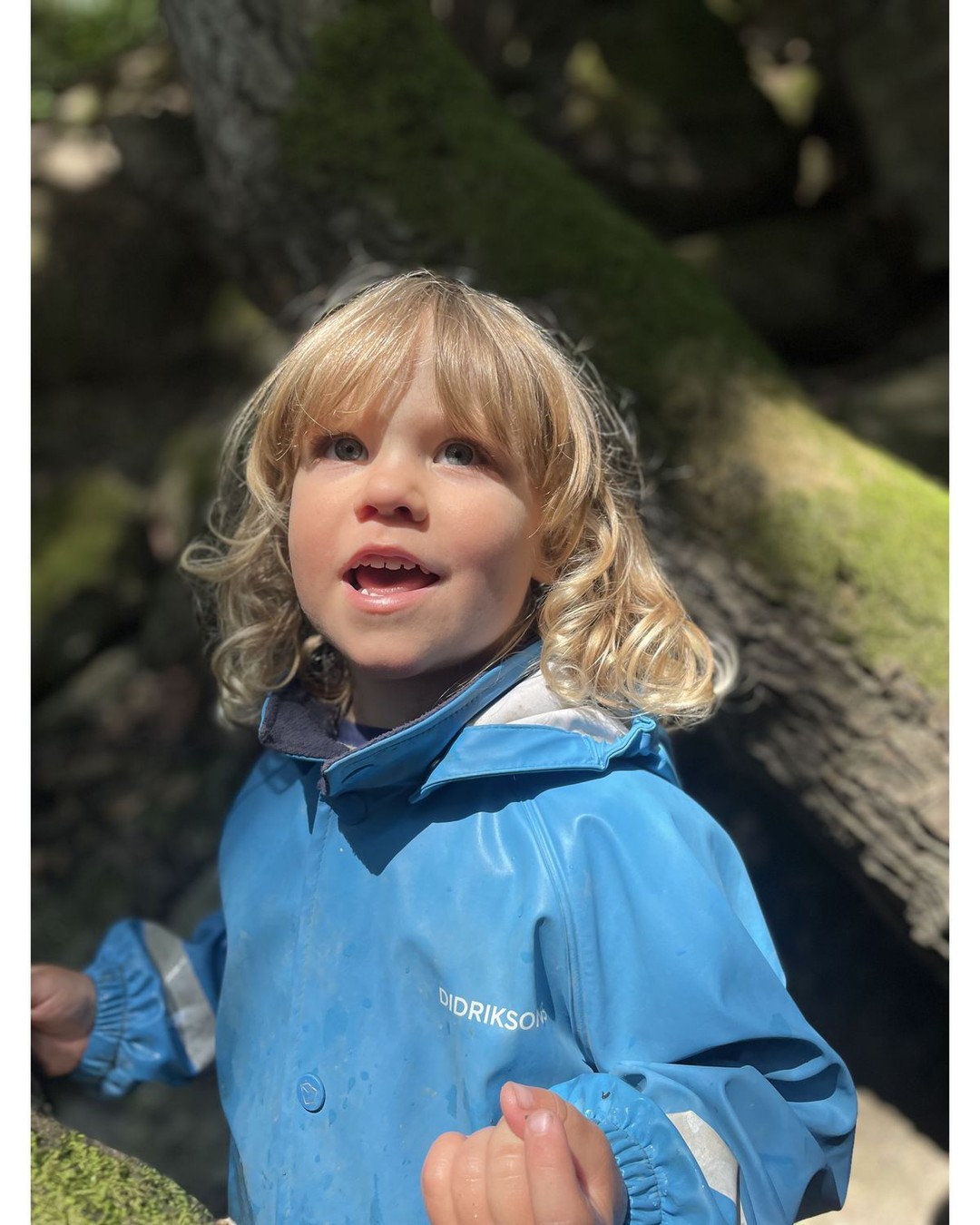 This is what learning outside looks like!
🌱🥾🌸🌼🎒✨
We would like to meet you come join us this summer, check the link in our bio for all of our events!
#emergingsprouts #emergingsproutsforestschool #forestschool #thisisourclassroom #optoutside #hike #playallday #playbased #reggioemilia #reggioemiliaapproach
#Emergentcurriculum #projectbasedlearning #cocreators #collective #natureclassroom #playallday #wildchild #wildandfree #naturekids #whatevertheweatherkids #optoutside #natureschool #askmemypronouns #castrovalley #sanleandro #sanramon #hayward #oakland #berkeley