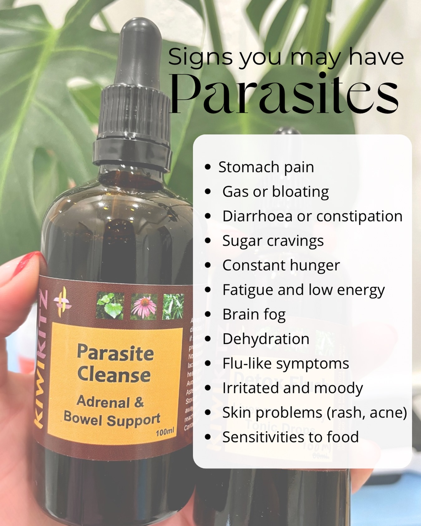 Parasites can quietly live in the gut for years before symptoms start causing chaos.
Think they could be affecting you? Ask us about our parasite cleanse at your next appointment. 🪱
#parasites #detox #parasitecleanse #colonics #colonhydrotherapy