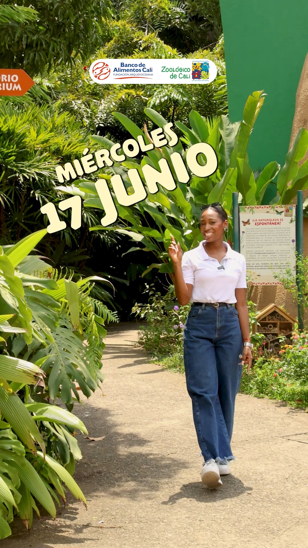 🐾 Tu visita puede hacer la diferencia.
Este miércoles, trae tu aporte de alimento no perecedero y disfruta de nuestra promoción 2x1 entre la 1:00 p.m. y las 4:30 p.m.
Cada donación suma y se convierte en apoyo para personas y familias que lo necesitan. Juntos podemos compartir bienestar dentro y fuera del Zoo🤩
*Aplican términos y condiciones.
🤍 ¿No puedes venir en 2x1?
También puedes donar a través de cuenta de Bancolombia o PayPal del Banco de Alimentos.
💳 Cuenta de ahorros: 06 200 001 625
Fundación Arquidiocesana Banco de Alimentos de Cali
NIT: 805.025.018
Llave de BreB: 0090201442
📲 WhatsApp: 315 226 5070
📞 Teléfono: (602) 881 2066
📧 Correo: donaciones@bancalimentos.org
#Promo2x1 #zoologicodecali #calicolombia #donaciones