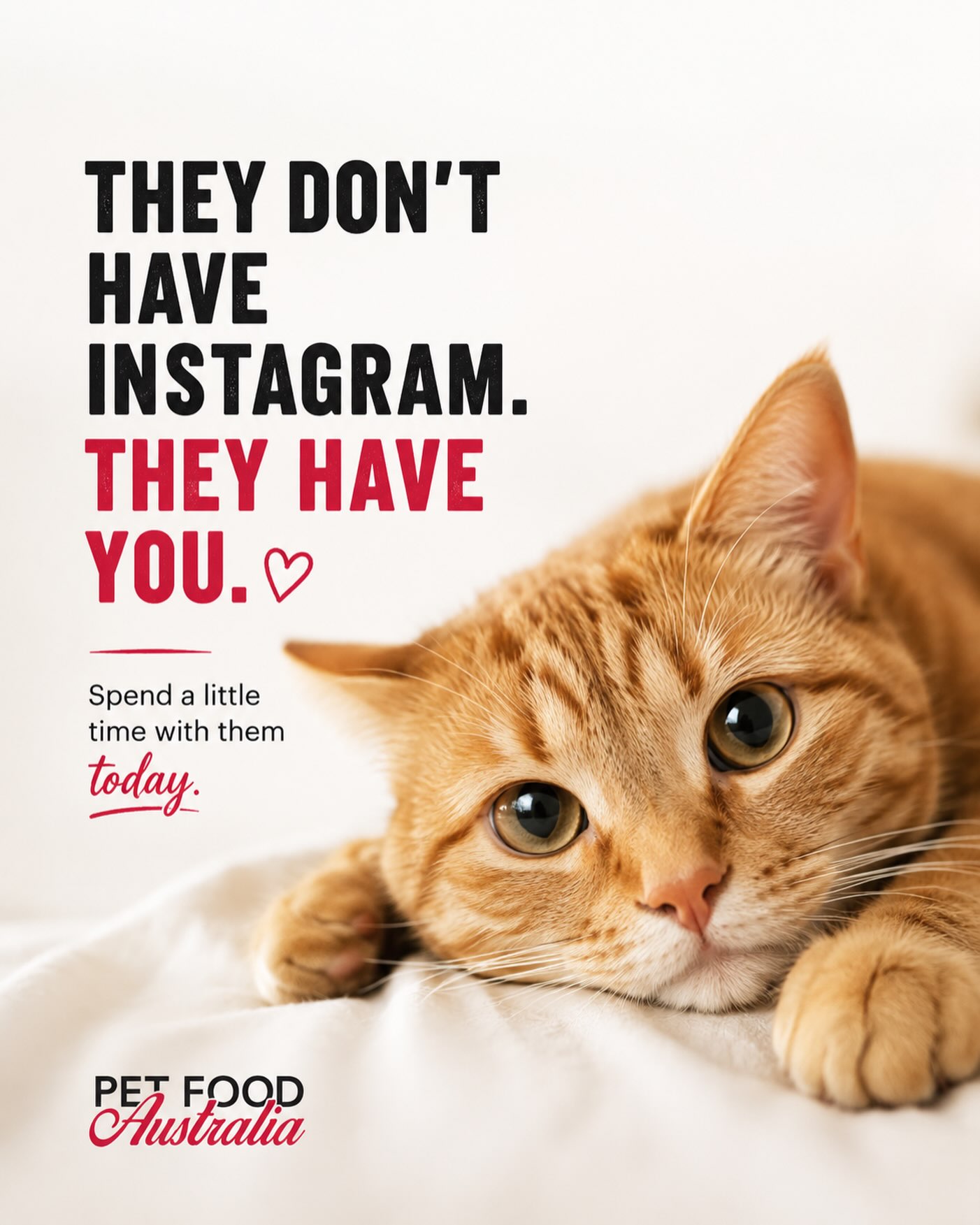 🐾 They don’t have Instagram. They have you. ❤️
While we scroll, they wait.
For a little attention.
For a few minutes of play.
For the person they love most.
Put your phone down for a moment and make their day a little brighter. ✨
Because to them, you’re not just part of their world...
you are their whole world.
#PetFood #DogFood #CatFood