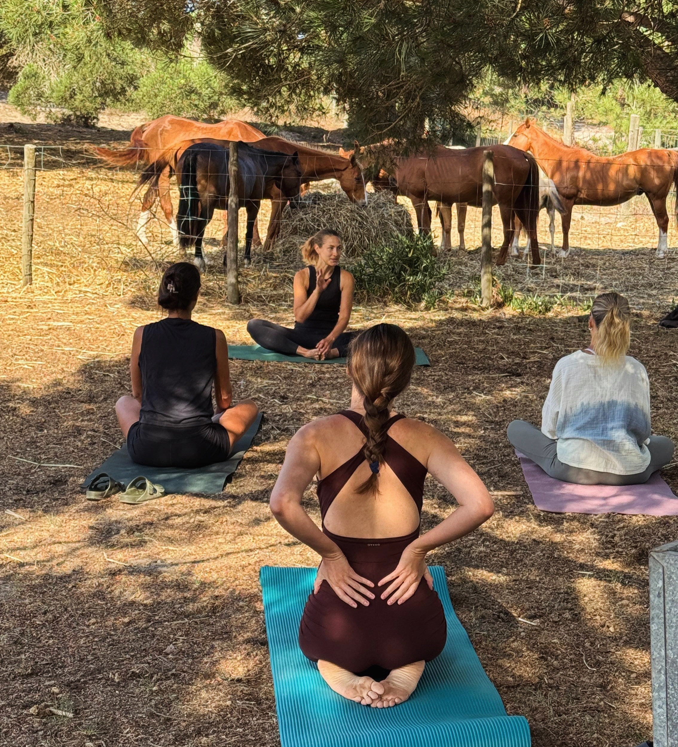 Yoga with Horses - Every Wednesday 🧘🏽♀️
Start your Wednesday with calm, movement, and connection. ✨
Join us for our ‚Yoga with Horses‘-sessions together with @annabreed_
A peaceful morning surrounded by nature and the gentle presence of horses. Slow down, breathe deeply, and reconnect with yourself in a unique and grounding atmosphere.
🕘 Every Wednesday | 09:00 – 10:30
🧘♀️ 09:00 – 10:00 Yoga Session
🫖 10:00 – 10:30 Tea & Slow Morning Together
🥐 Feel free to bring your own breakfast
☀️ Registration via our homepage — link in bio
A space to move, unwind, and begin the day with intention. 🤍
