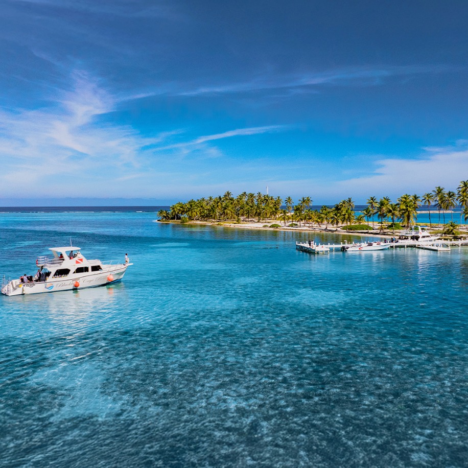โจ๐ ๐ด ๐๐๐๐๐๐ ๐๐๐๐๐๐ ๐๐๐๐๐๐๐๐ - JUST BOOKED! ๐ด๐ โจ
ONE BIG-AMAZING GROUP are headed to @blackbirdresort in Belize โ think ๐ญ๐ฎ๐ซ๐ช๐ฎ๐จ๐ข๐ฌ๐ ๐ฐ๐๐ญ๐๐ซ, ๐ฐ๐จ๐ซ๐ฅ๐-๐๐ฅ๐๐ฌ๐ฌ ๐๐ข๐ฏ๐ข๐ง๐ , and ๐ ๐ฉ๐ซ๐ข๐ฏ๐๐ญ๐ ๐ข๐ฌ๐ฅ๐๐ง๐ ๐๐ฌ๐๐๐ฉ๐โฆ whatโs not to love about THAT??!
Blackbird Caye sits right on the edge of the Belize Barrier Reef, giving guests direct access to some of the most spectacular diving and snorkeling in the Caribbean. ๐๐ข๐ฌ๐ฆ ๐ถ๐ฑ, ๐ด๐ค๐ถ๐ฃ๐ข, ๐ฆ๐ข๐ต, ๐ณ๐ฆ๐ฑ๐ฆ๐ข๐ต!
My nine clients are excited to enjoy:
๐คฟ ๐๐ง๐๐ซ๐๐๐ข๐๐ฅ๐ ๐ฌ๐๐ฎ๐๐ ๐ญ๐ซ๐ข๐ฉ๐ฌ with access to over 70 dives sitesโ think The Great Blue Hole, Lighthouse Reef, Silver Caves + SO MUCH MORE.
๐ ๐๐๐ฅ๐๐ญ ๐ฌ๐๐ฎ๐๐ ๐๐ข๐ฏ๐ข๐ง๐ โ because vacation should be relaxing! The dive team handles the heavy lifting so guests can focus on the fun.
๐น ๐๐๐ข๐-๐๐๐๐ค ๐ข๐ฌ๐ฅ๐๐ง๐ ๐ฏ๐ข๐๐๐ฌ, three delicious meals prepared by outstanding chefs, and the perfect mix of adventure and relaxation
๐ Did I mention that you have access to some of Belizeโs ๐ฆ๐จ๐ฌ๐ญ ๐๐๐ฆ๐จ๐ฎ๐ฌ ๐ซ๐๐๐ ๐ฌ๐ฒ๐ฌ๐ญ๐๐ฆ๐ฌ + ๐๐ข๐ฏ๐ ๐ฌ๐ข๐ญ๐๐ฌ ๐ซ๐ข๐ ๐ก๐ญ ๐๐ซ๐จ๐ฆ ๐ญ๐ก๐ ๐ซ๐๐ฌ๐จ๐ซ๐ญ?! Ahh-mazing.
Best friends. No crowds. No stress. Just incredible diving, breathtaking scenery, and that magical feeling of being completely surrounded by the Caribbean Sea!
Whether you're a certified diver, looking to complete your certification, or want to snorkel the day away, ๐ญ๐ก๐ข๐ฌ ๐ข๐ฌ ๐ญ๐ก๐ ๐ค๐ข๐ง๐ ๐จ๐ ๐ญ๐ซ๐ข๐ฉ ๐ฒ๐จ๐ฎ'๐ฅ๐ฅ ๐๐ ๐ญ๐๐ฅ๐ค๐ข๐ง๐ ๐๐๐จ๐ฎ๐ญ ๐๐จ๐ซ ๐ฒ๐๐๐ซ๐ฌ!
If a private island diving adventure sounds like your kind of paradiseโฆ ๐๐พ๐๐ ๐๐๐๐ ๐๐พ๐๐ ๐ถ ๐ธ๐ถ๐๐๐
@thewanderlustlife_