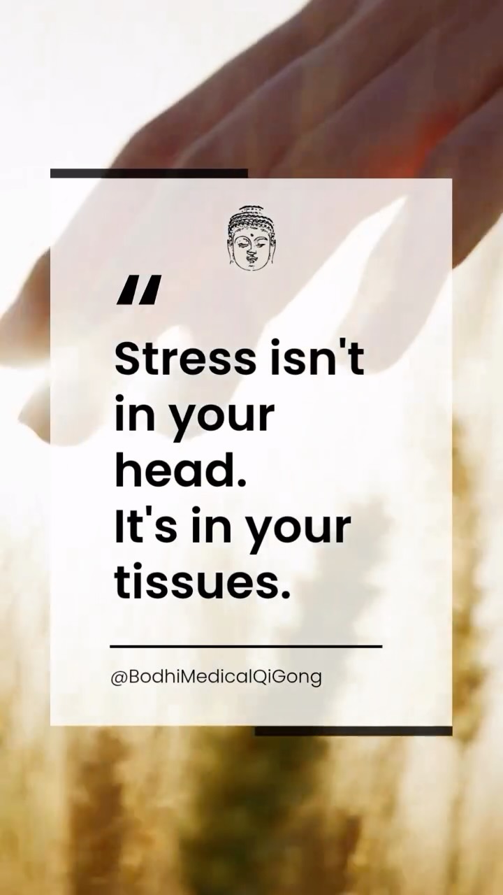 Stress isn’t just something you think.
It’s something your body experiences.
When stress becomes chronic, the nervous system shifts into a protective state. Muscles tighten. Breathing becomes shallow. Inflammation can increase. Sleep suffers. Digestion slows. Recovery becomes harder.
Over time, this can create real physical symptoms, tight shoulders, jaw tension, headaches, fatigue, digestive issues, and a feeling that your body never fully relaxes.
In Traditional Chinese Medicine, this is often viewed as stagnation, when Qi no longer moves freely through the body. In modern medicine, we might describe it as nervous system dysregulation.
Different language. Similar observation.
The body keeps the score.
Qigong helps restore what stress takes away: movement, circulation, breath, and regulation.
Because healing doesn’t begin when symptoms disappear.
It begins when the body finally feels safe enough to let go.
#Qigong #bodhilife #bodhimedicalqigong