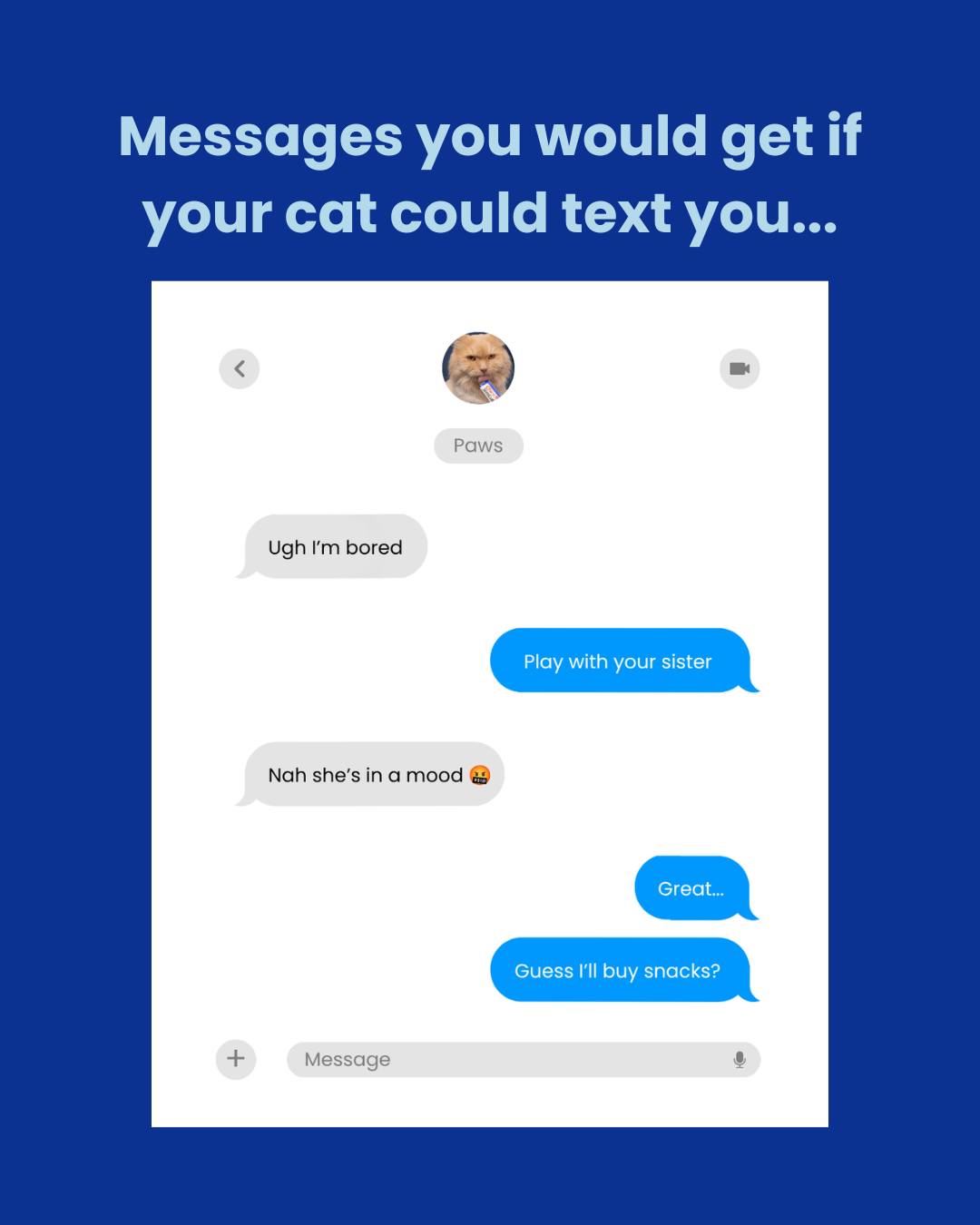 POV: Your cat finds yet another way to get your attention 💬
If yours could text you, what would they say?
#Churu #CatMemes #CatsOfInstagram