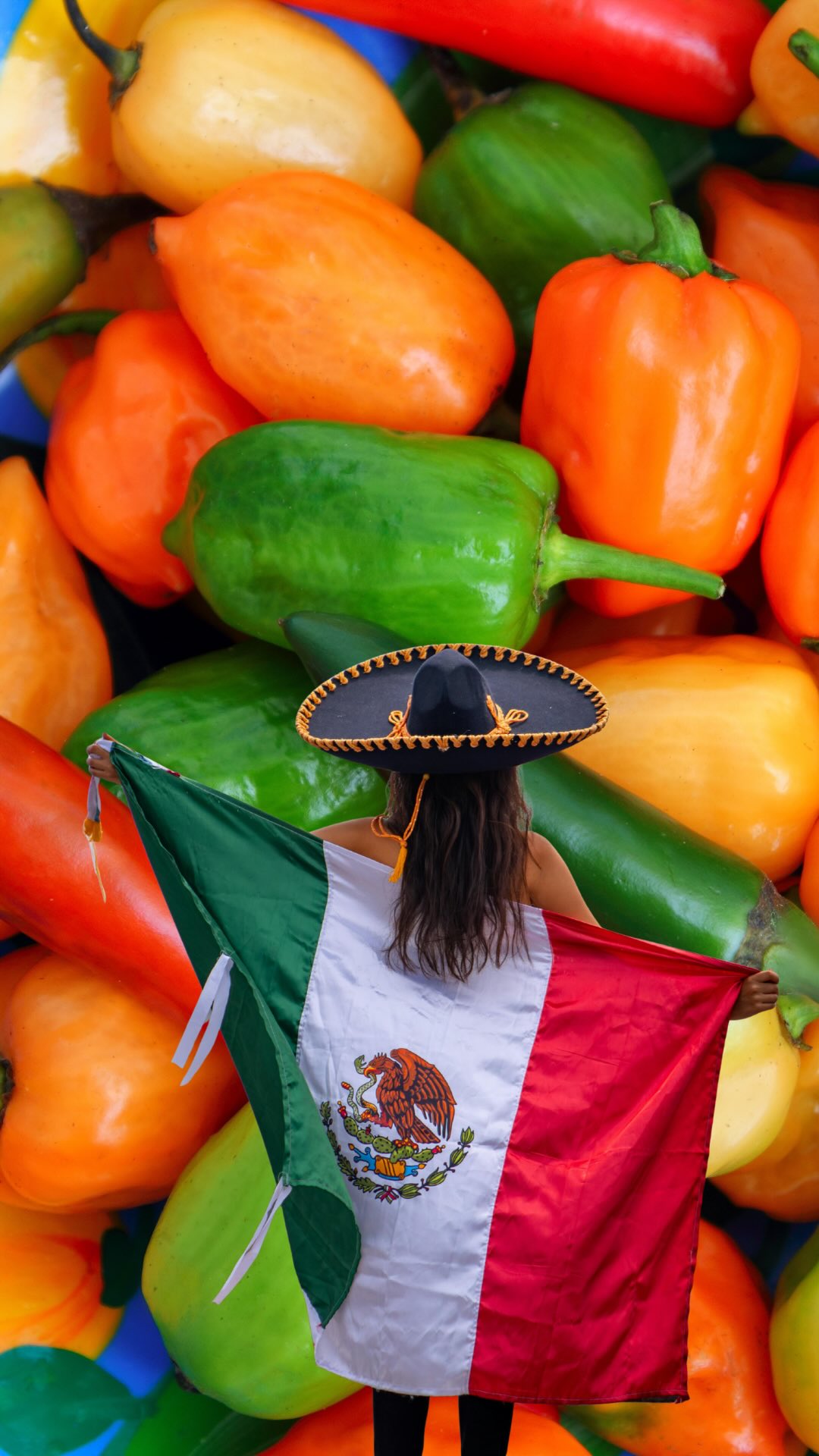 A culinária mexicana usa tanta pimenta por um motivo 🌶️🇲🇽
Na verdade… vários motivos.
Além de fazer parte da cultura alimentar mexicana há milhares de anos, as pimentas também têm compostos com ação antimicrobiana - algo muito importante antes da refrigeração existir, principalmente, em lugares com clima quente.
E ainda existe a capsaicina: a substância que faz a comida “arder” e ativa receptores de calor no nosso corpo, o que também pode ajudar na regulação de temperatura do corpo em ambientes quentes.
Ou seja: comida picante não é só sabor. É adaptação, cultura, clima e ciência.
👉 Qual país você quer ver no próximo episódio?
#copadomundo #mexico #pimenta #curiosidades #alimentos