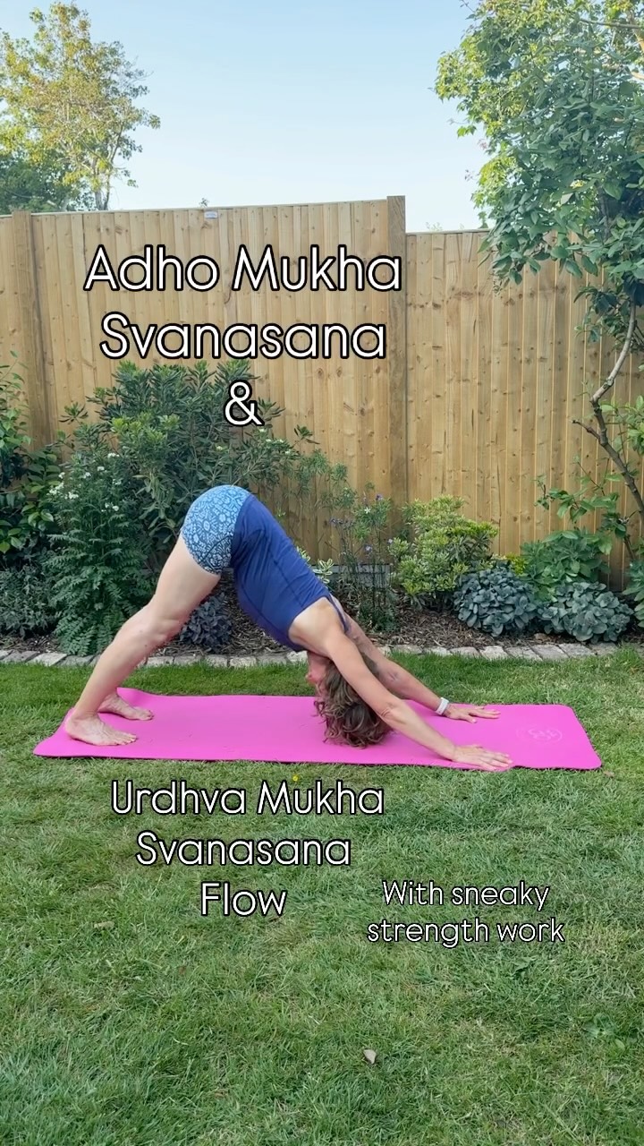 “The very heart of yoga practice is abhyasa—steady effort in the direction you want to go.” — Sally Kempton
Playing with Upward Dog and Downward Dog.
Add in
. Plank
. Chaturanga
Rolling into Upward Dog
Add in some sneaky strength yoga?!
Feel the support of the ground beneath you and really strengthen through the core muscles, legs and shoulders.
Have fun.
Tag me if you try this. 💪🏼
Good luck dodging the UK showers today!
#gardenyoga #londonyogateacher #yogaforstrength #strengthwork #creativeyoga
