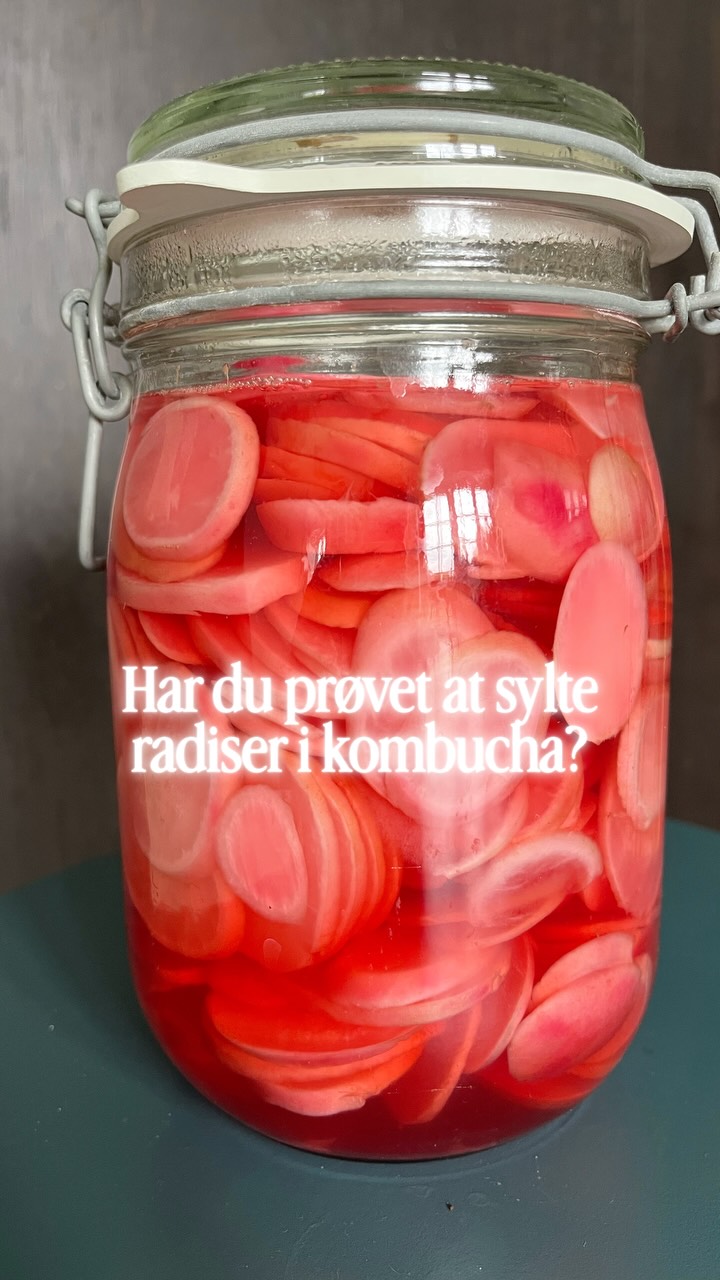 Sommerens første radiser er noget helt særligt 🌱
Men nogle gange når jeg ikke at få dem spist, mens de stadig er helt friske. Derfor begyndte jeg for nogle år siden at sylte dem – og det er blevet en favorit!
I år har jeg syltet dem i en kombucha-lage, og resultatet er virkelig lækkert. Sprøde, syrlige og fulde af smag.
Der er faktisk overraskende mange måder at bruge kombucha i køkkenet på.
Vil du have opskriften?
Skriv “ja tak” i kommentarfeltet, så sender jeg den til dig 💚