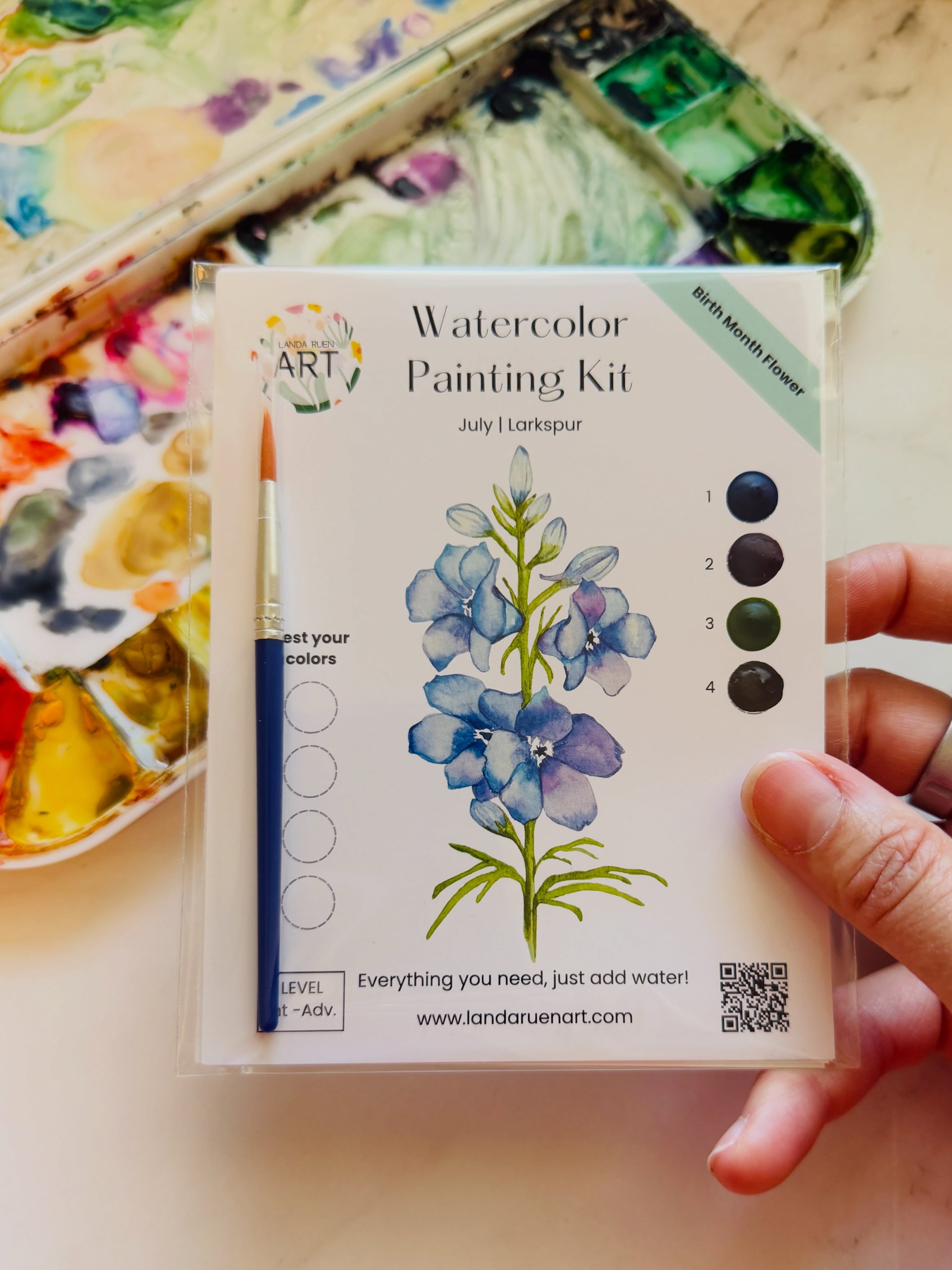 The Lakspur is my new favorite kit! 🩵
It’s got everything I love in a floral painting- ribbon like petals, high contrast, delicate details, and lovely color transitions.
It’s so fun to paint I’m wondering if it needs to be a bigger kit - like a half page instead of a mini. What do you think?! 🤔
#watercolorkits #watercolorkit #landaruenartshop #larkspur #botanicalpainting
